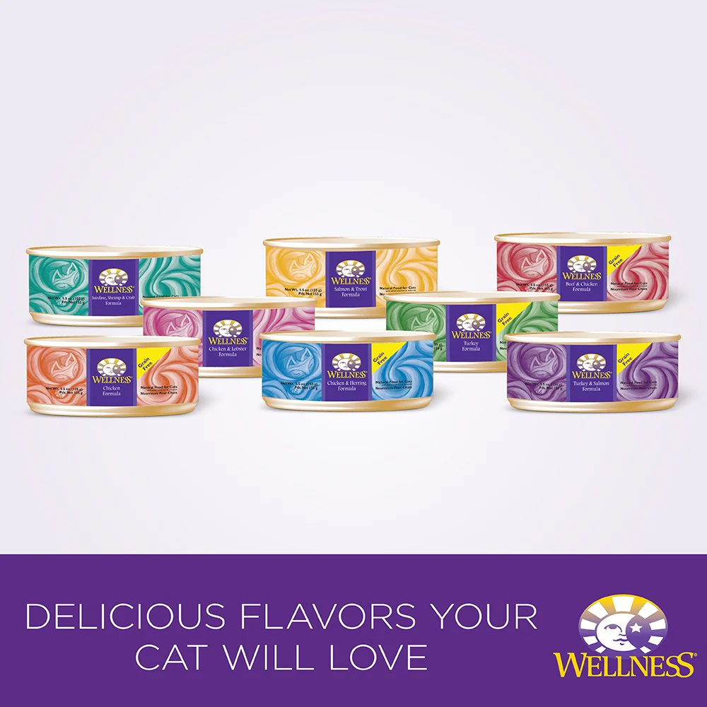 Wellness Complete Health Grain Free Turkey & Salmon Natural Wet Canned Cat Food - Image 3