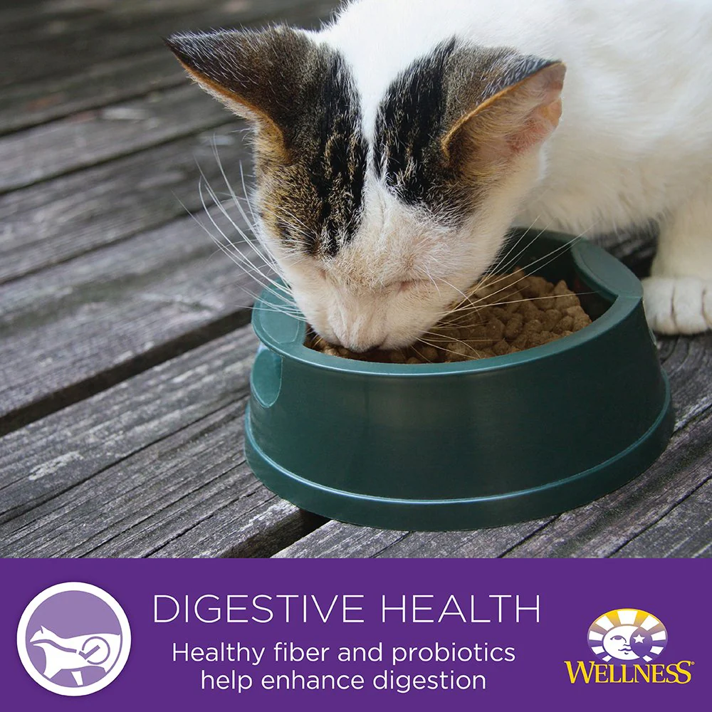 Wellness Complete Health Grain Free Turkey & Salmon Natural Wet Canned Cat Food - Image 6