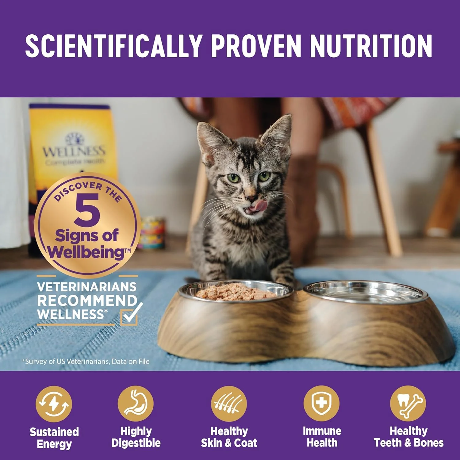 Wellness Complete Health Gravy Adult Wet Cat Food, Natural, Protein-Rich, Grain Free (Salmon Entree) - Image 5