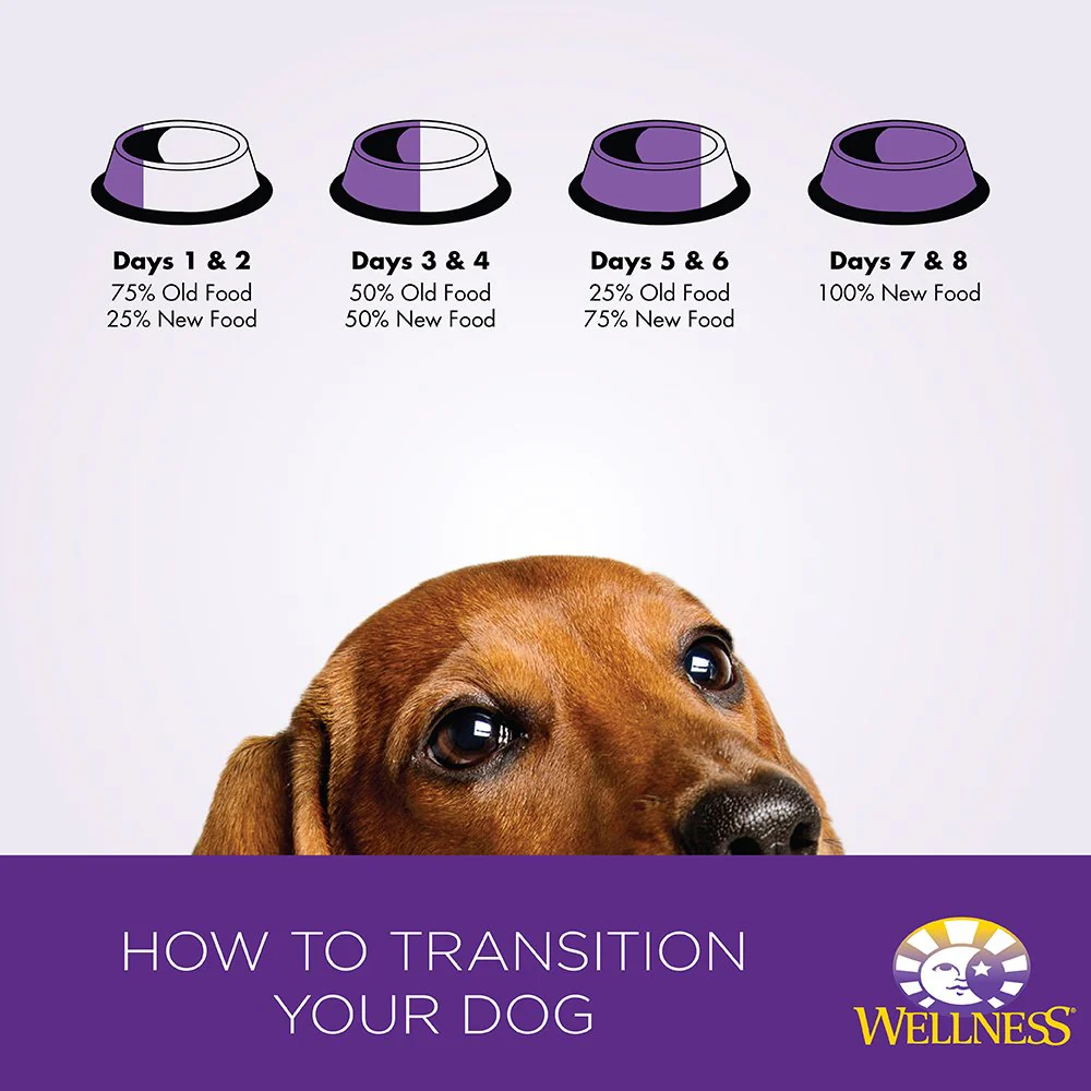 Wellness Complete Health Healthy Weight Chicken & Peas Natural Dry Dog Food - Image 3