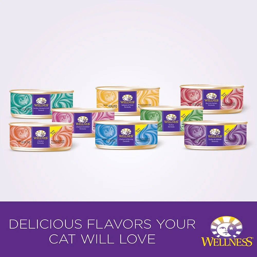 Wellness Complete Health Natural Canned Grain Free Wet Cat Food, Chicken & Herring Pate - Image 3