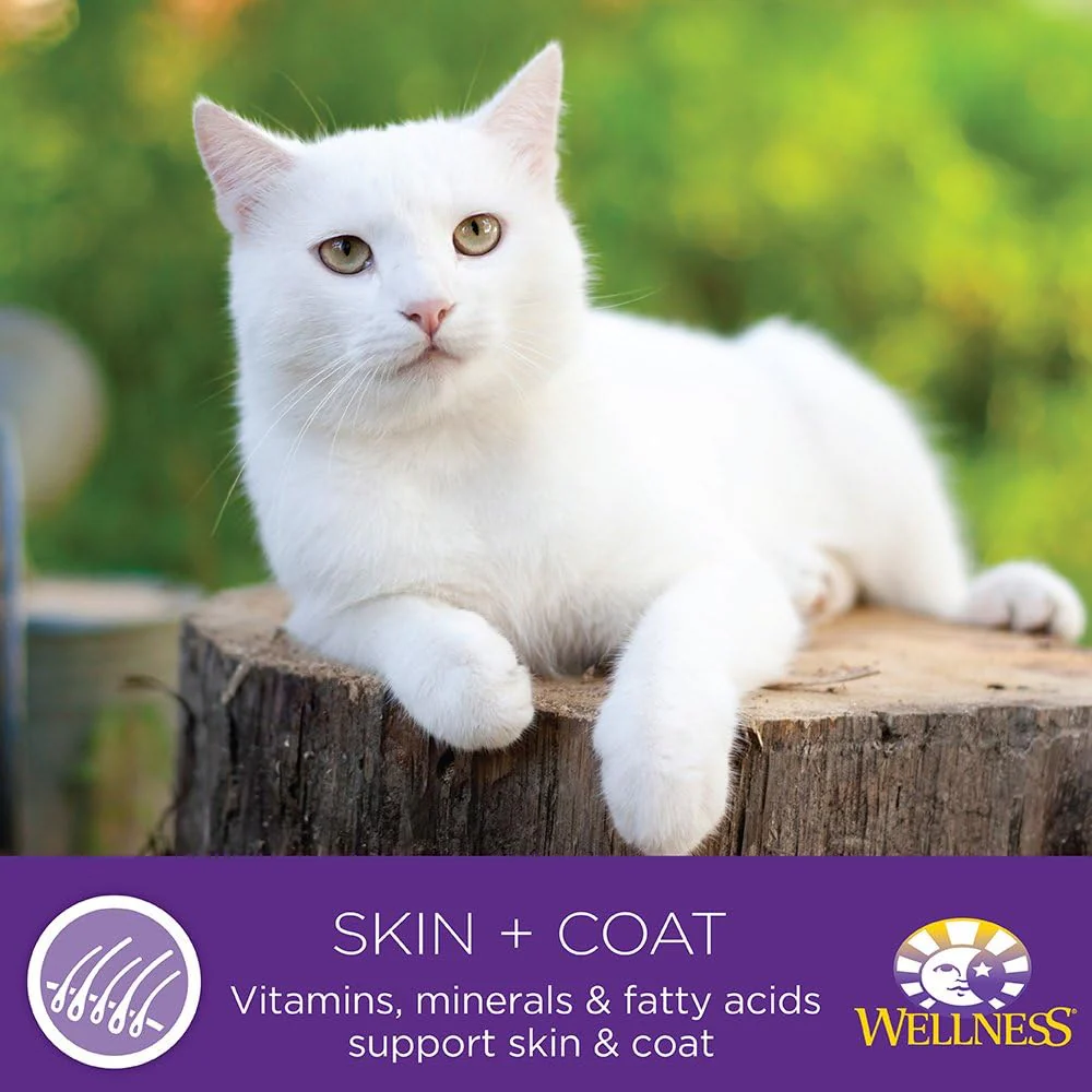 Wellness Complete Health Natural Canned Grain Free Wet Cat Food, Chicken & Herring Pate - Image 5