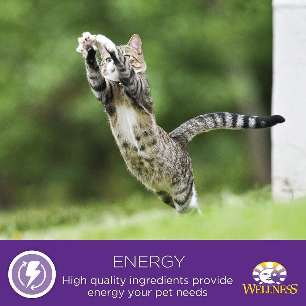 Wellness Complete Health Natural Canned Grain Free Wet Cat Food, Chicken & Herring Pate - Image 8