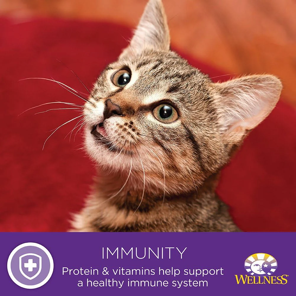 Wellness Complete Health Natural Canned Grain Free Wet Cat Food, Chicken & Herring Pate - Image 9