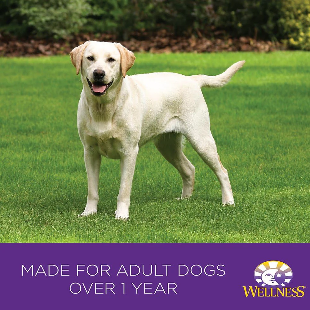 Wellness Complete Health Natural Dry Dog Food, Chicken & Oatmeal - Image 3