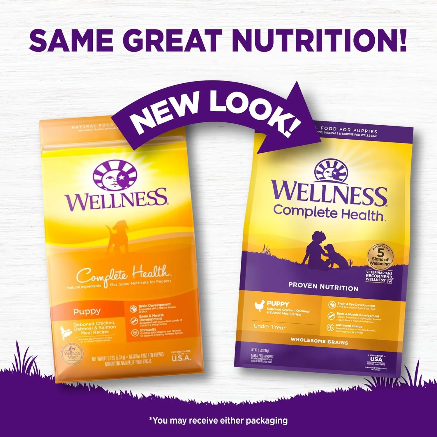 Wellness Complete Health Dry Puppy Food, Chicken, Salmon & Oatmeal - Image 4