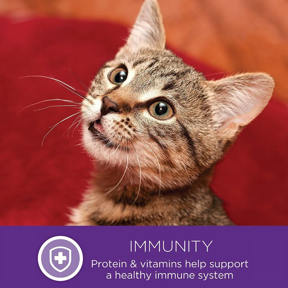 Wellness Complete Health Pate Adult Wet Cat Food, Natural, Protein-Rich, Grain Free (Chicken & Lobster) - Image 10
