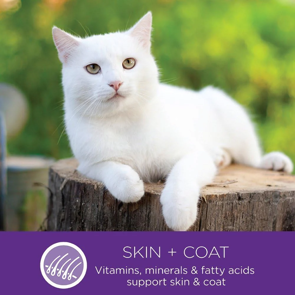 Wellness Complete Health Pate Adult Wet Cat Food, Natural, Protein-Rich, Grain Free (Chicken & Lobster) - Image 9