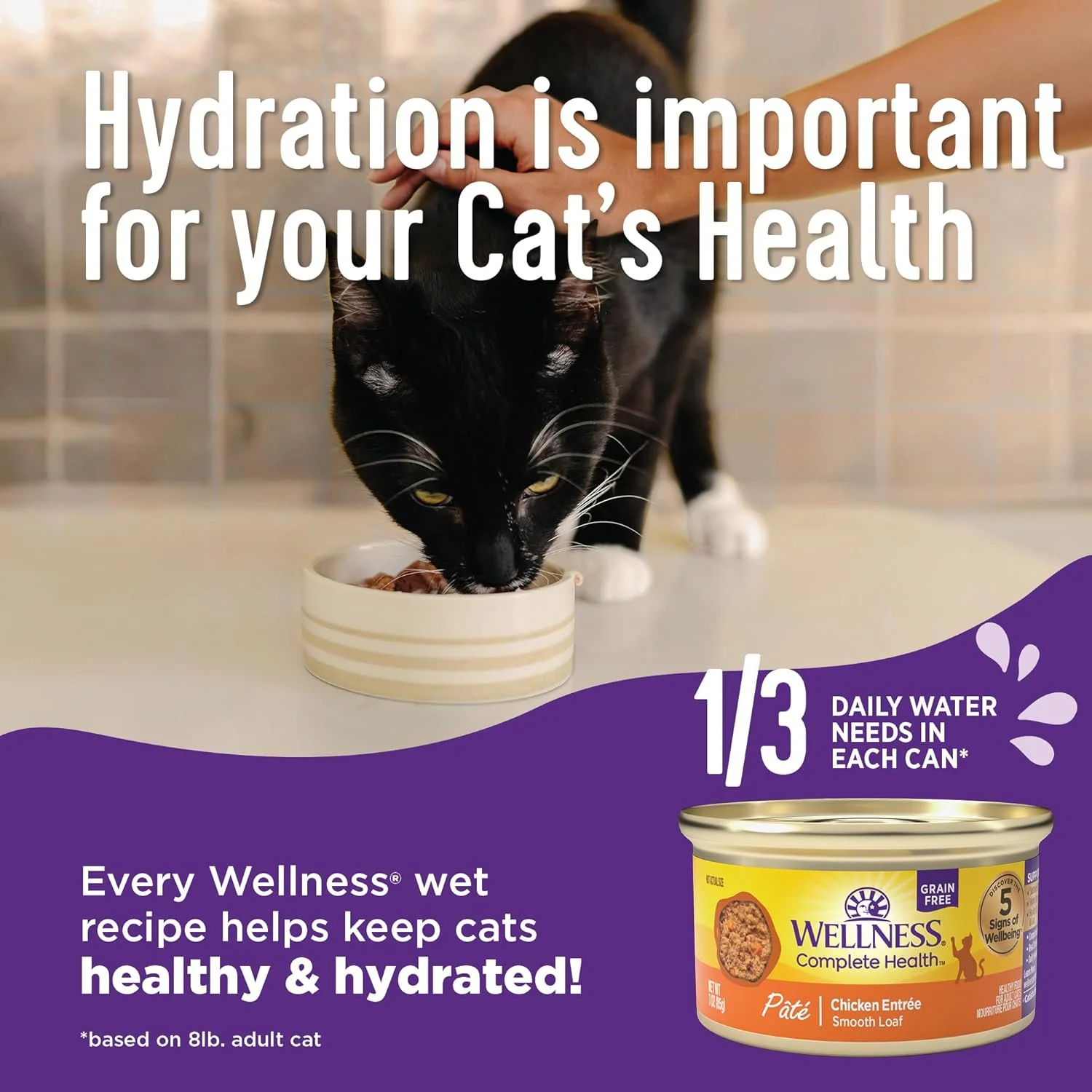 Wellness Complete Health Pate Adult Wet Cat Food, Natural, Protein-Rich, Grain Free(Chicken) - Image 5