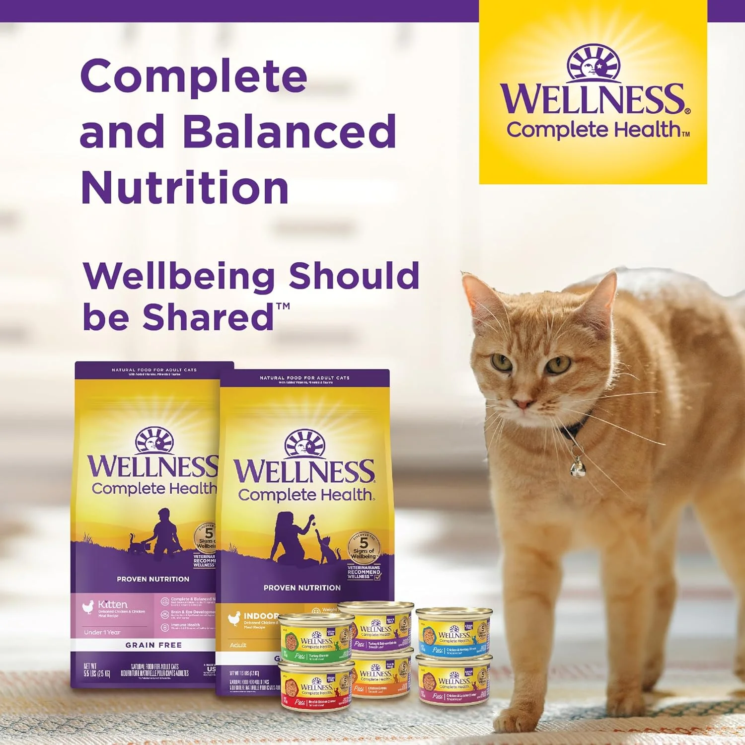 Wellness Complete Health Pate Adult Wet Cat Food, Natural, Protein-Rich, Grain Free(Turkey & Salmon) - Image 7