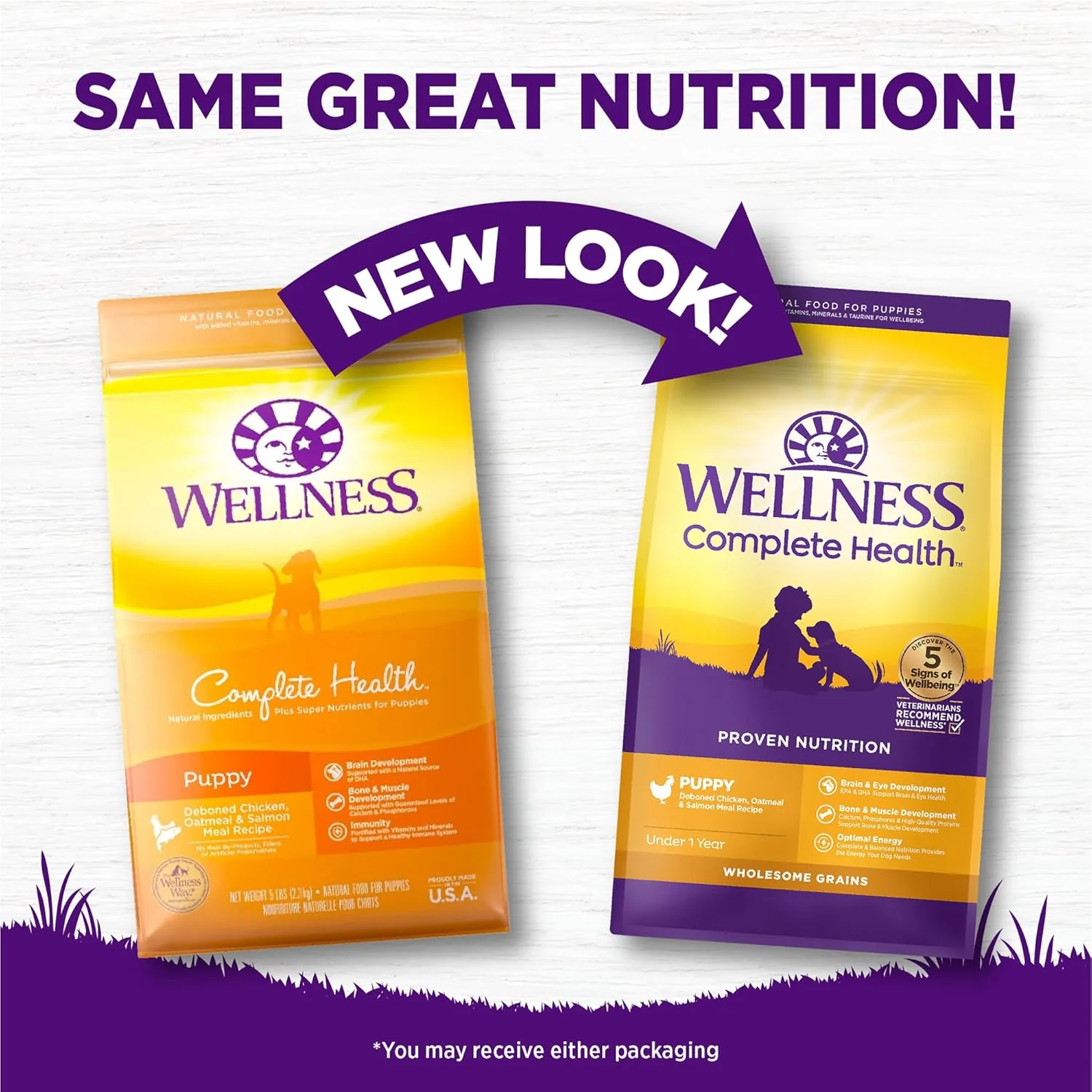 Wellness Complete Health Puppy Dry Dog Food, Wholesome Grains, Natural, Chicken, Oatmeal, & Salmon Recipe - Image 2