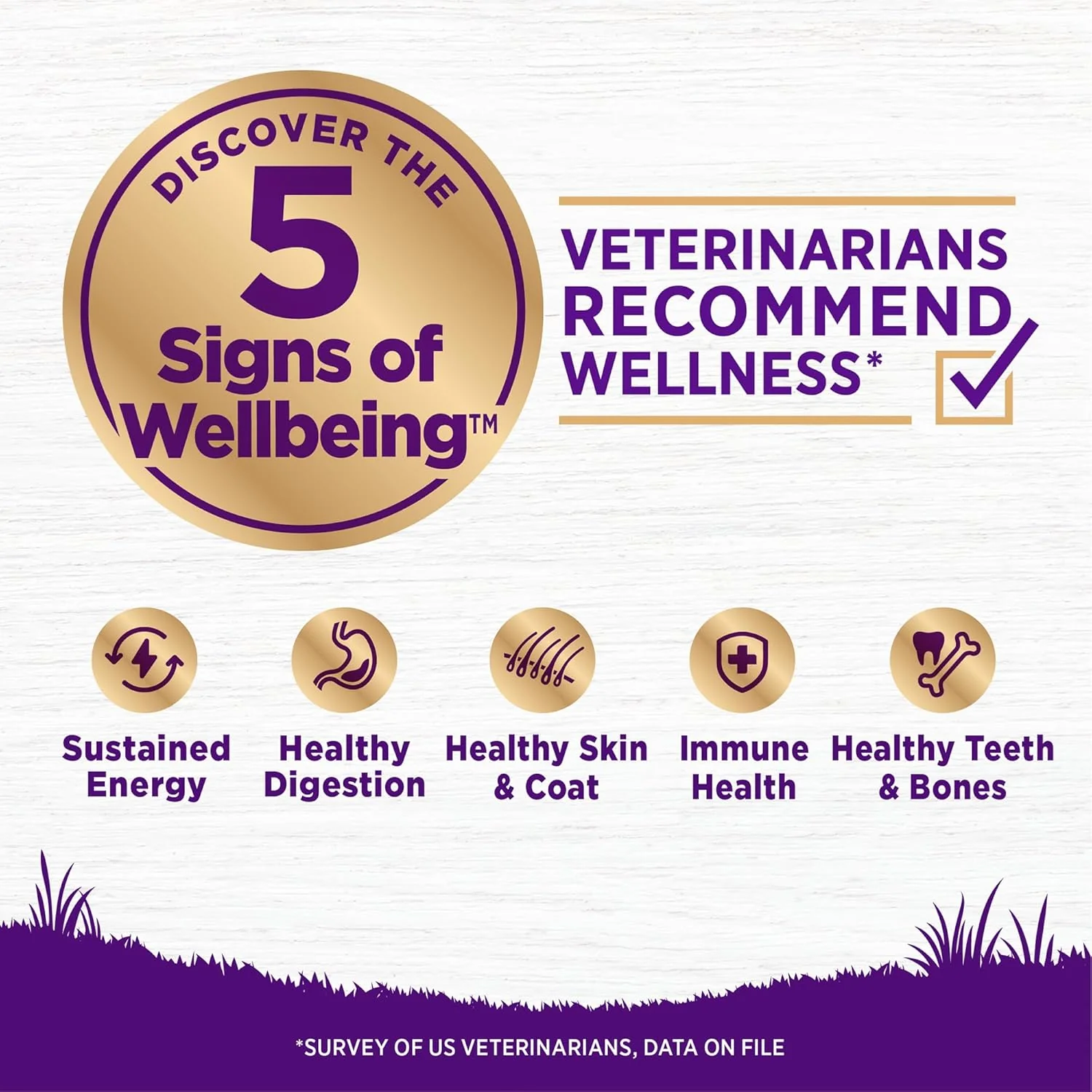 Wellness Complete Health Puppy Dry Dog Food, Wholesome Grains, Natural, Chicken, Oatmeal, & Salmon Recipe - Image 3