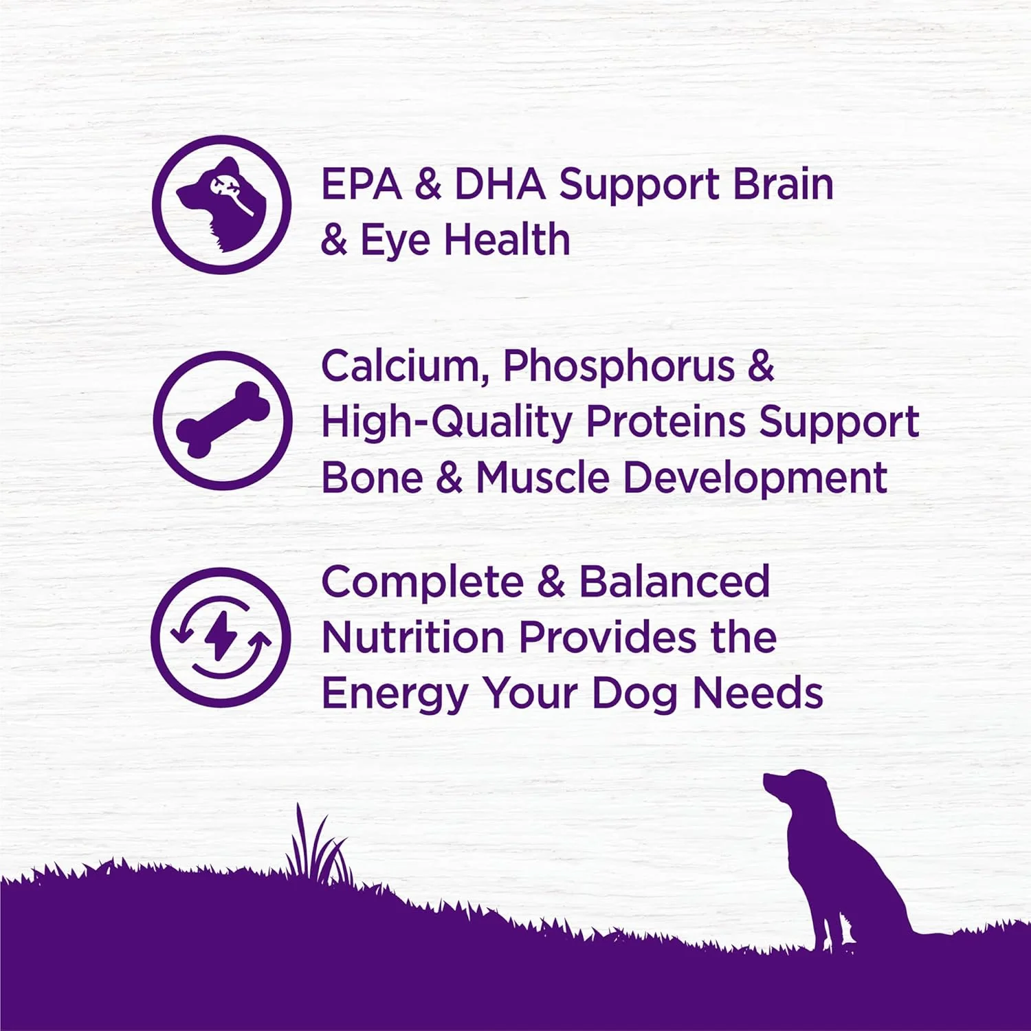 Wellness Complete Health Puppy Dry Dog Food, Wholesome Grains, Natural, Chicken, Oatmeal, & Salmon Recipe - Image 4