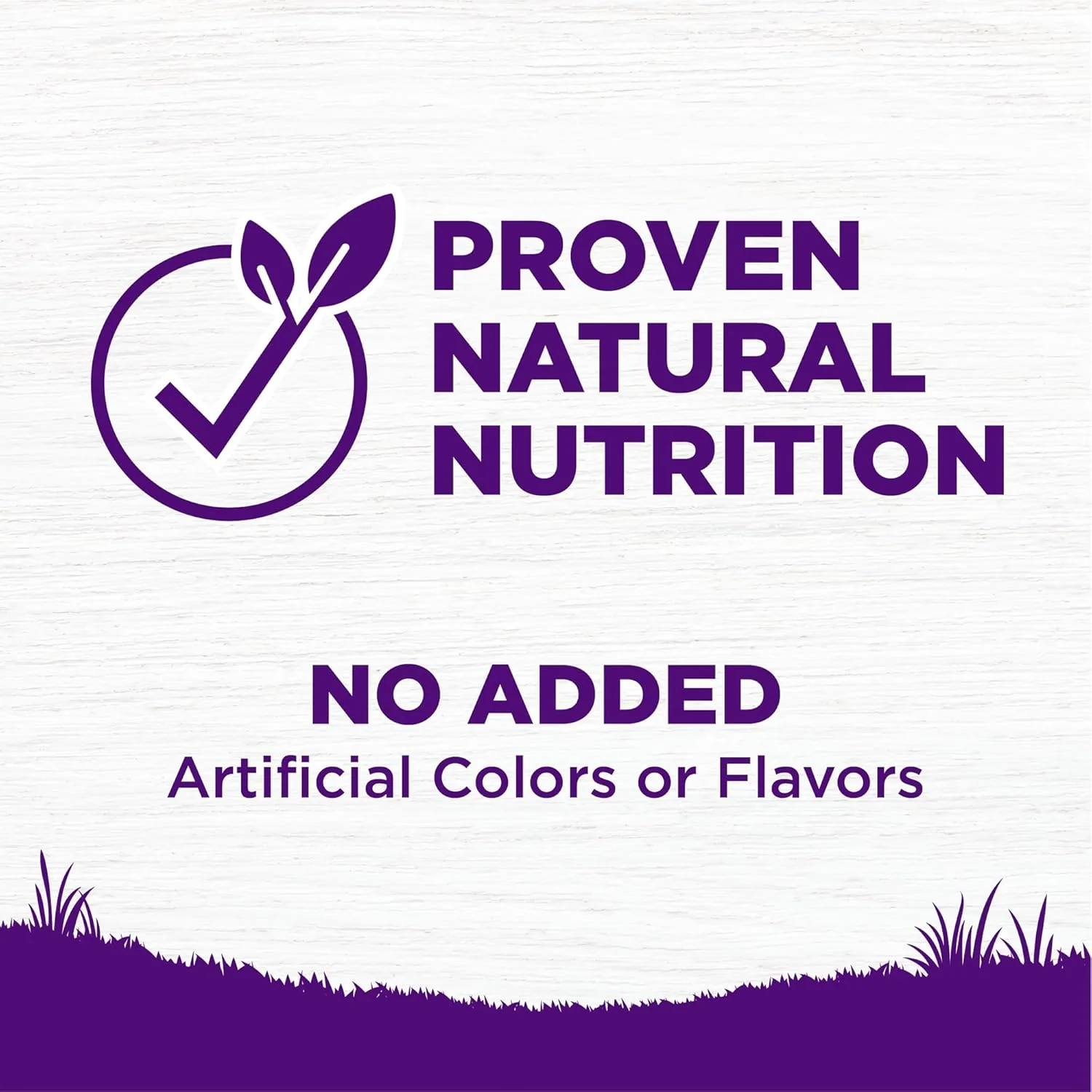 Wellness Complete Health Puppy Dry Dog Food, Wholesome Grains, Natural, Chicken, Oatmeal, & Salmon Recipe - Image 5