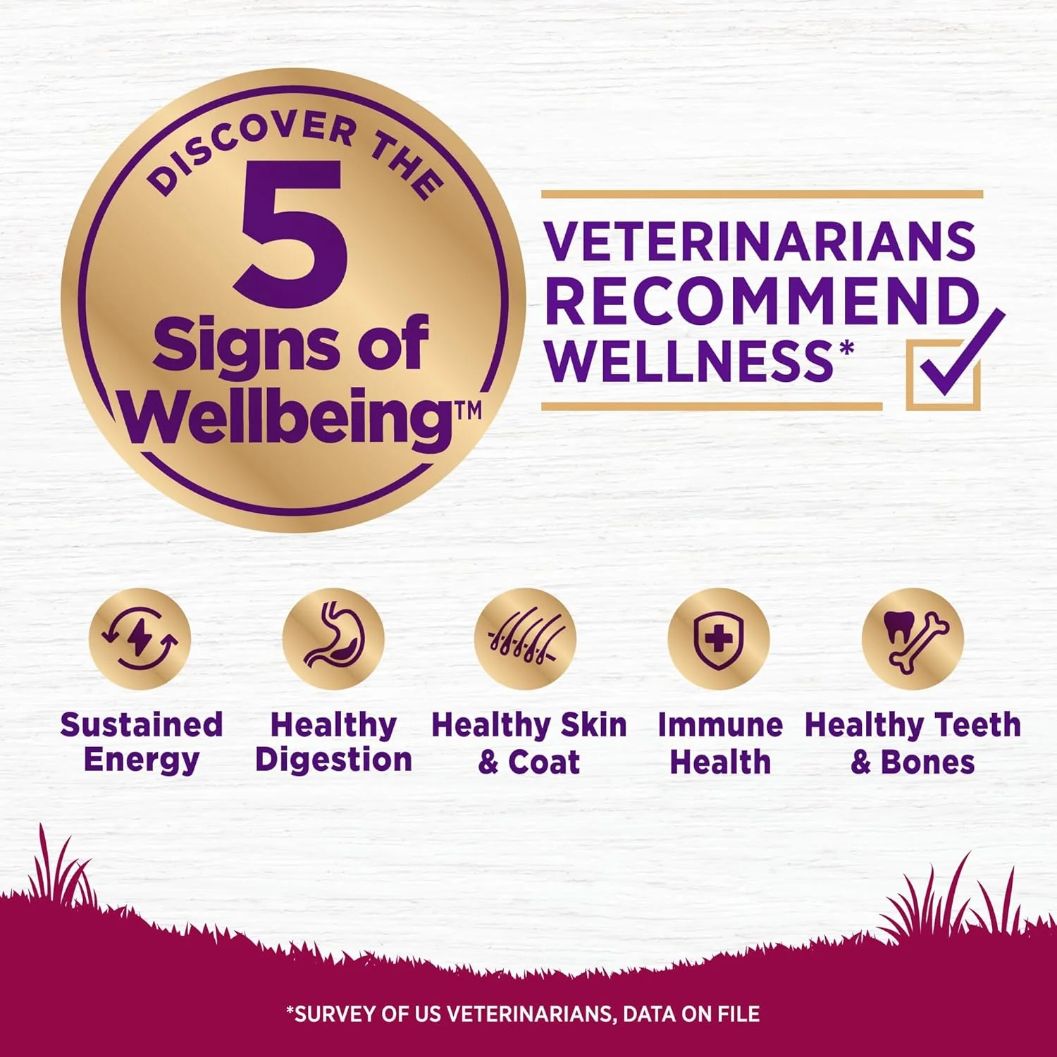 Wellness Complete Health Small Breed Adult Dry Dog Food with Grains and Real Turkey, Natural Ingredients, Omega Fatty Acids, and Probiotics, Made in USA - Image 2
