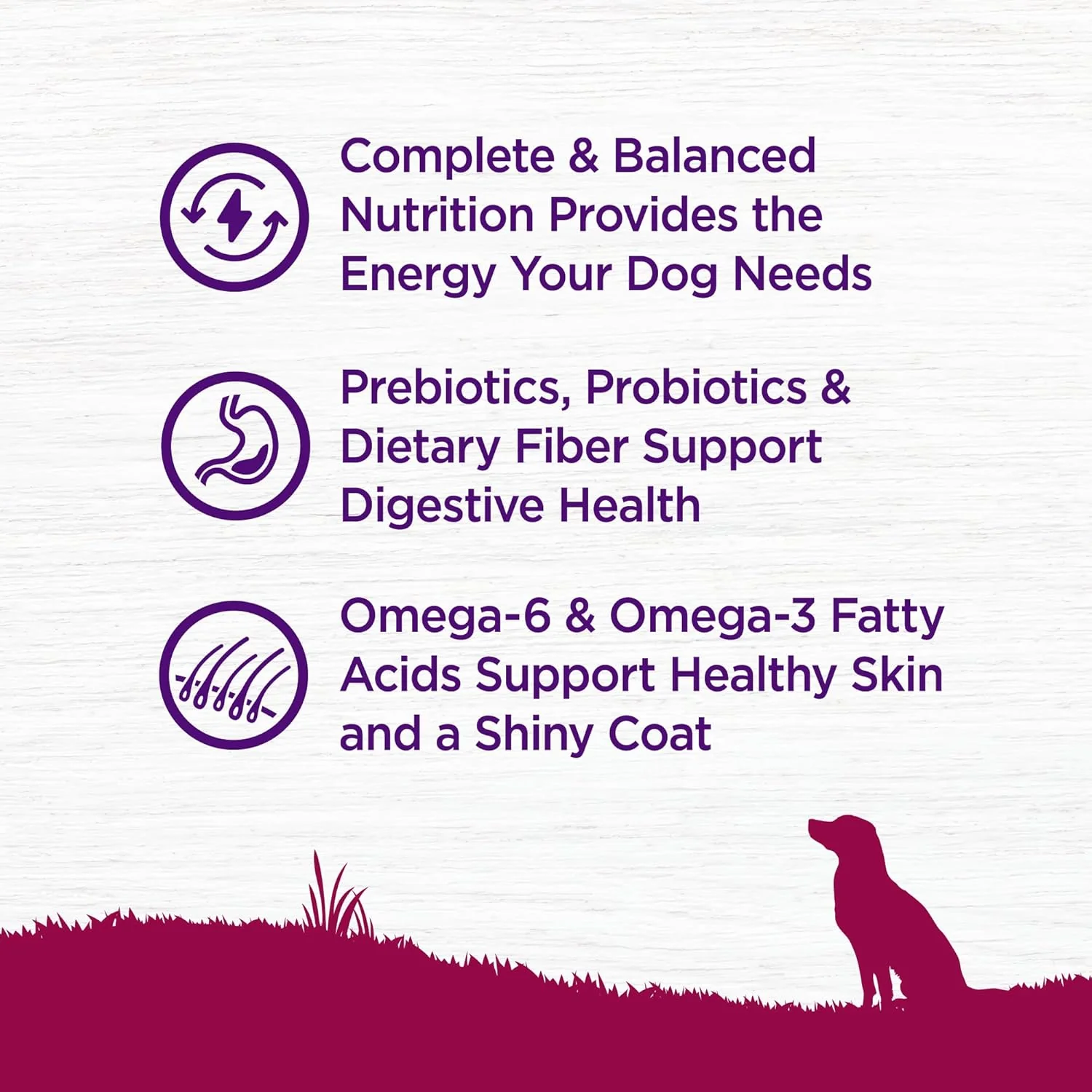 Wellness Complete Health Small Breed Adult Dry Dog Food with Grains and Real Turkey, Natural Ingredients, Omega Fatty Acids, and Probiotics, Made in USA - Image 4