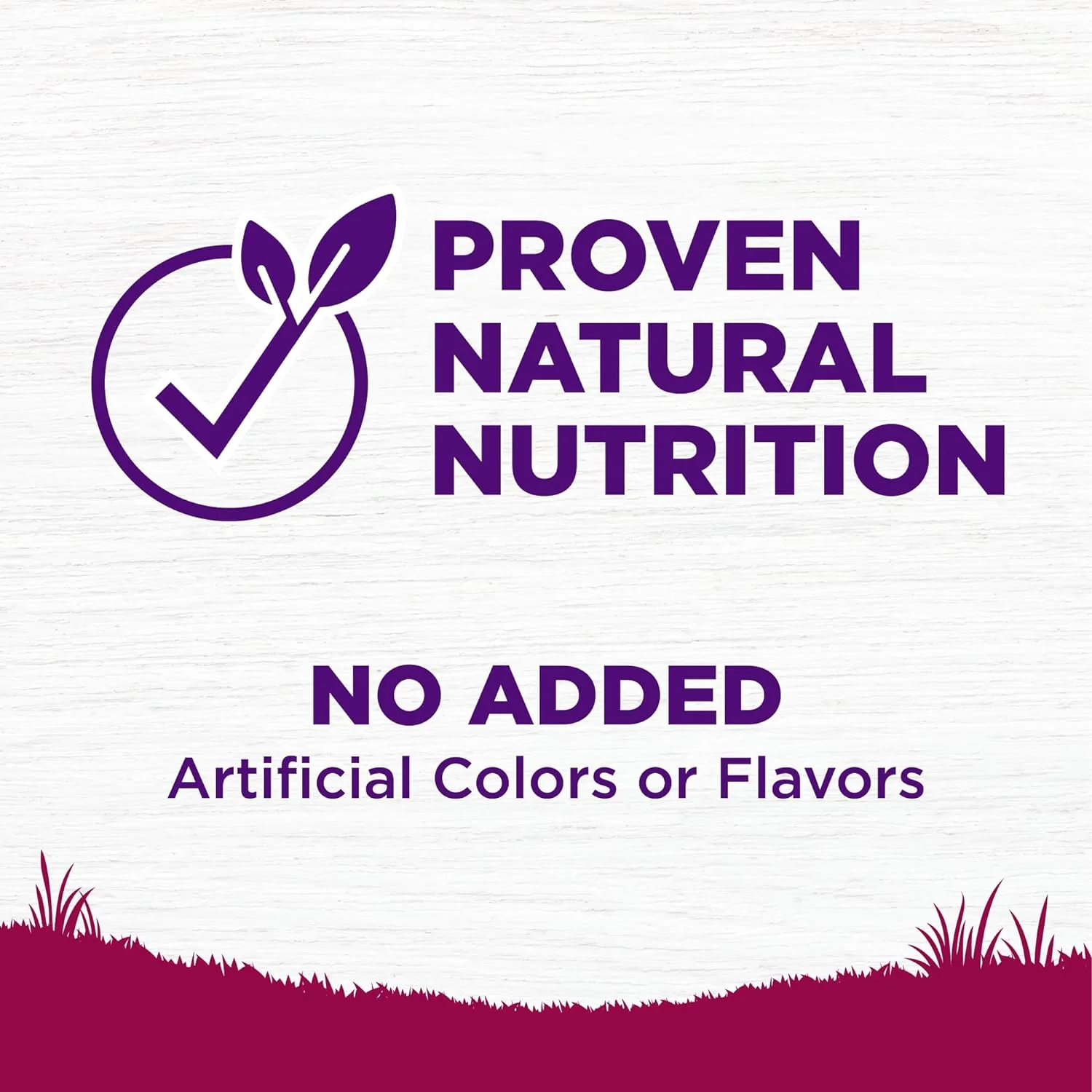 Wellness Complete Health Small Breed Adult Dry Dog Food with Grains and Real Turkey, Natural Ingredients, Omega Fatty Acids, and Probiotics, Made in USA - Image 5