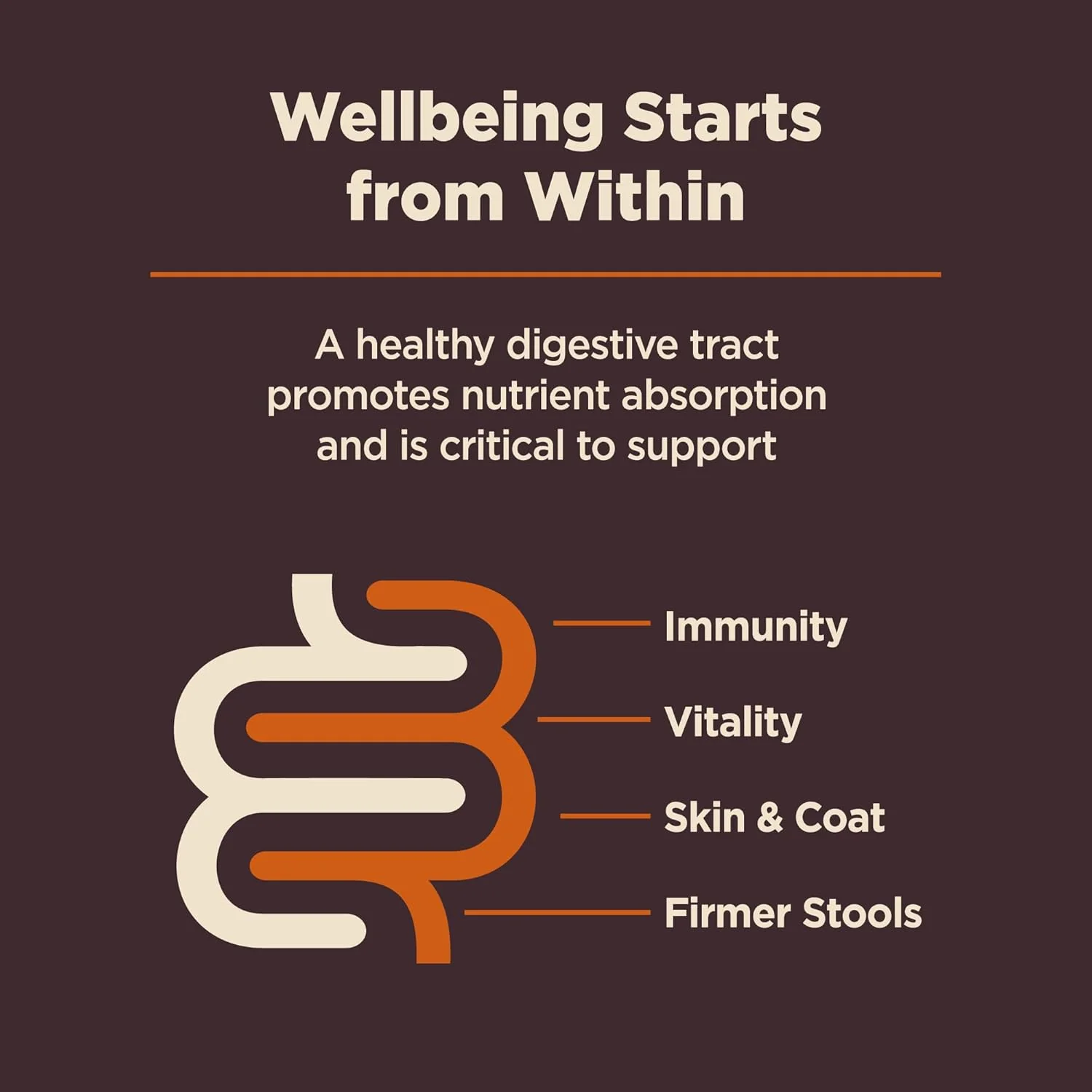 Wellness CORE Digestive Health Dry Dog Food with Wholesome Grains, Highly Digestible, for Dogs with Sensitive Stomachs, Made in USA with Real Chicken - Image 2