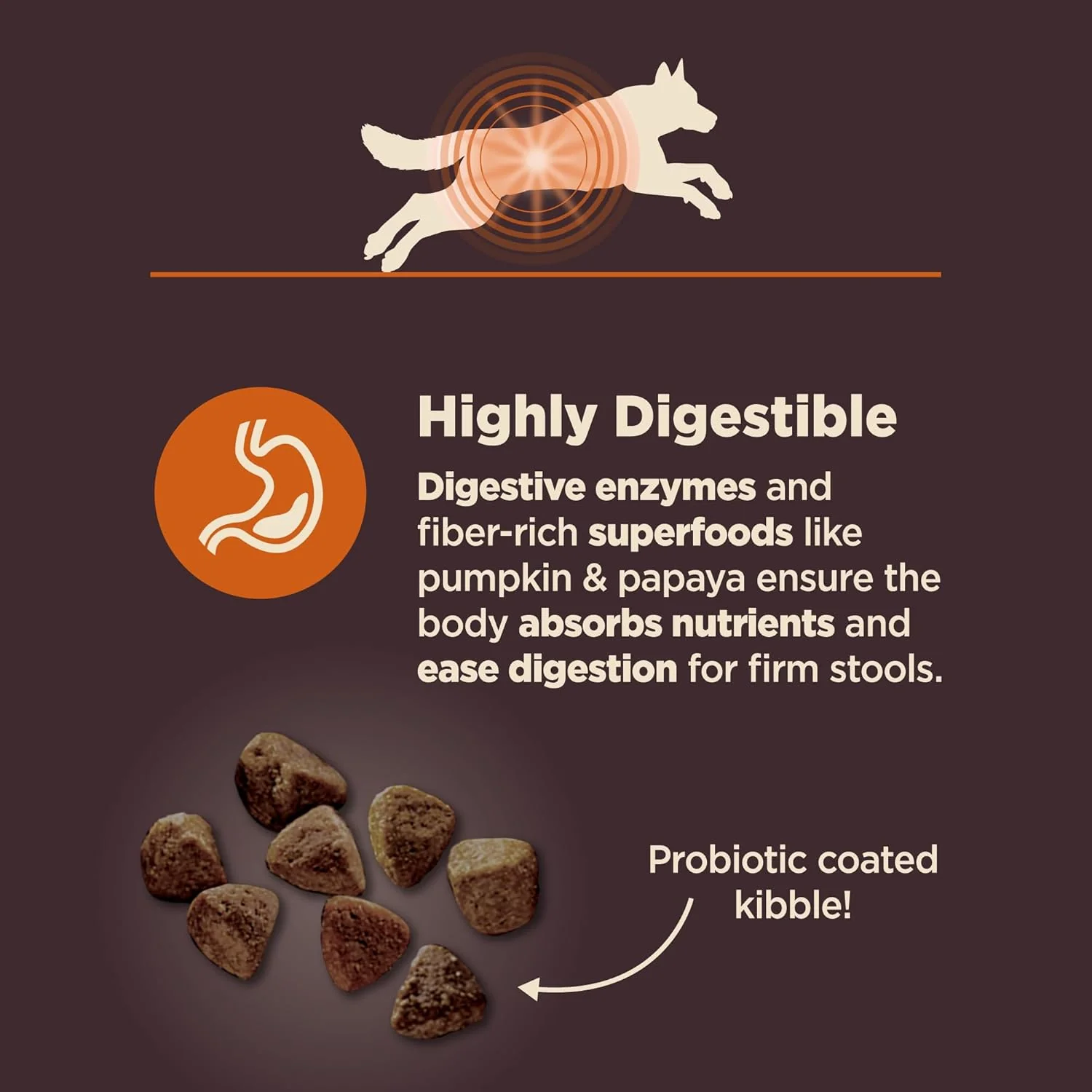 Wellness CORE Digestive Health Dry Dog Food with Wholesome Grains, Highly Digestible, for Dogs with Sensitive Stomachs, Made in USA with Real Chicken - Image 5