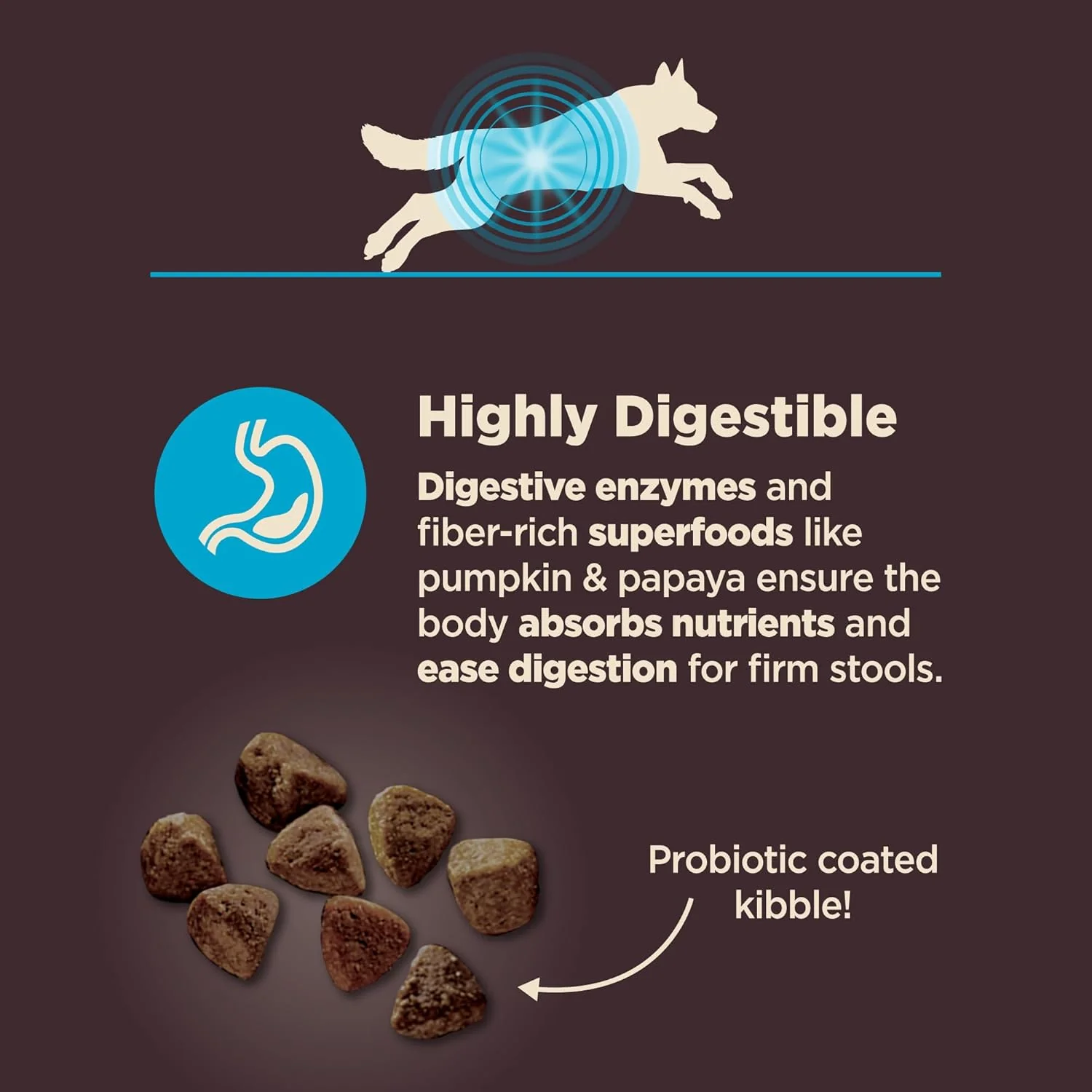 Wellness CORE Digestive Health Dry Dog Food, Wholesome Grains, Natural, Ingredients for Dogs with Sensitive Stomachs, Whitefish & Brown Rice Recipe - Image 3