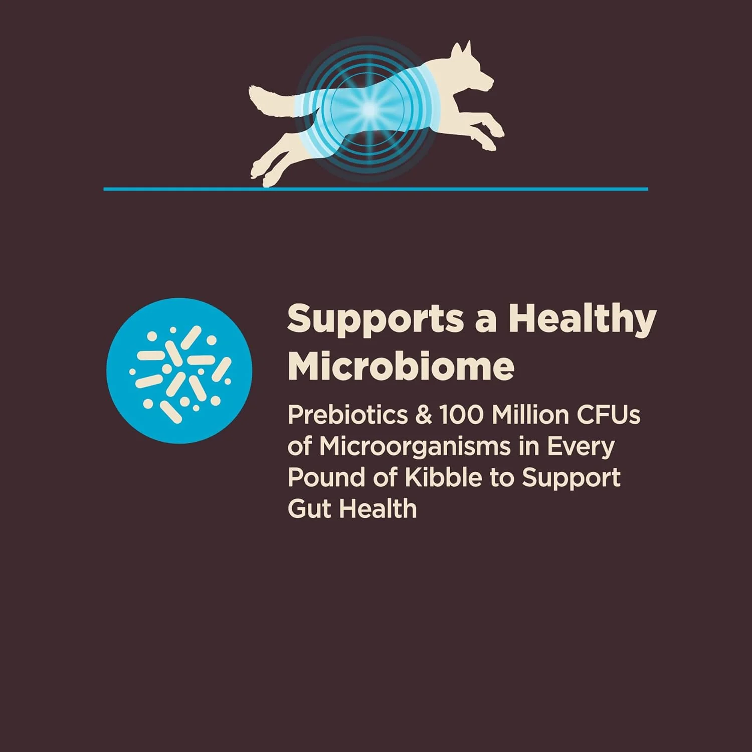 Wellness CORE Digestive Health Dry Dog Food, Wholesome Grains, Natural, Ingredients for Dogs with Sensitive Stomachs, Whitefish & Brown Rice Recipe - Image 4