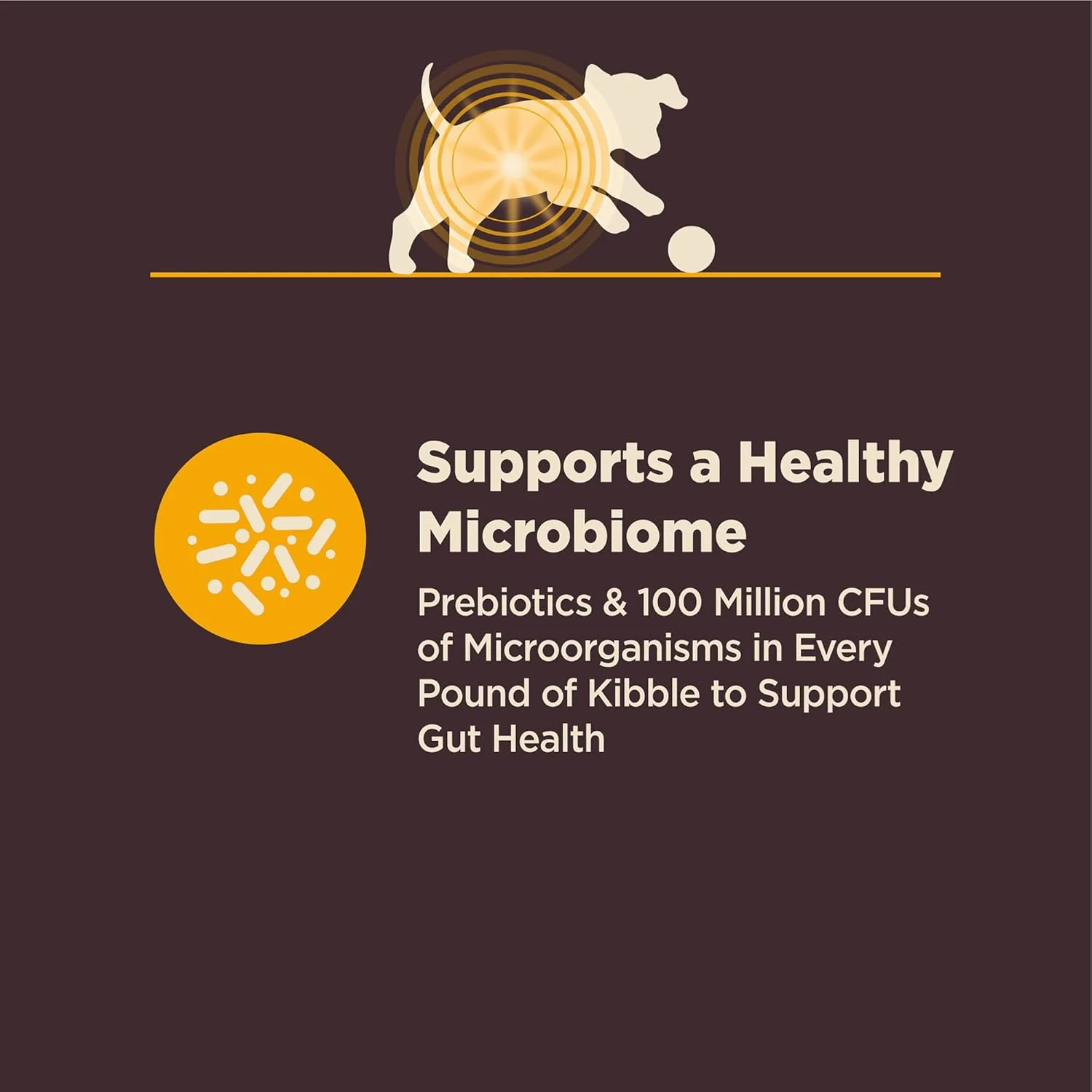 Wellness CORE Digestive Health Sensitive Stomach Chicken with Grains Dry Puppy Food - Image 5