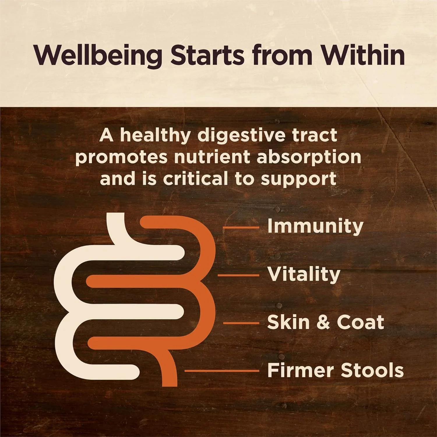 Wellness CORE Digestive Health Lamb Grain Free Wet Dog Food - Image 2