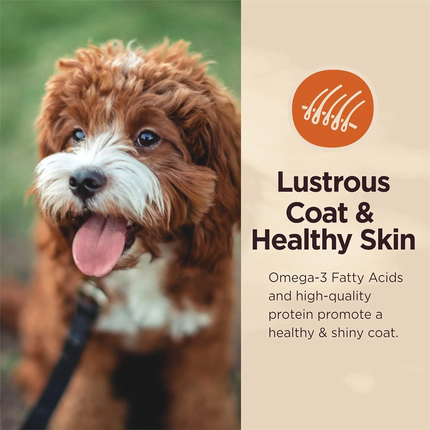 Wellness CORE Digestive Health Lamb Grain Free Wet Dog Food - Image 5