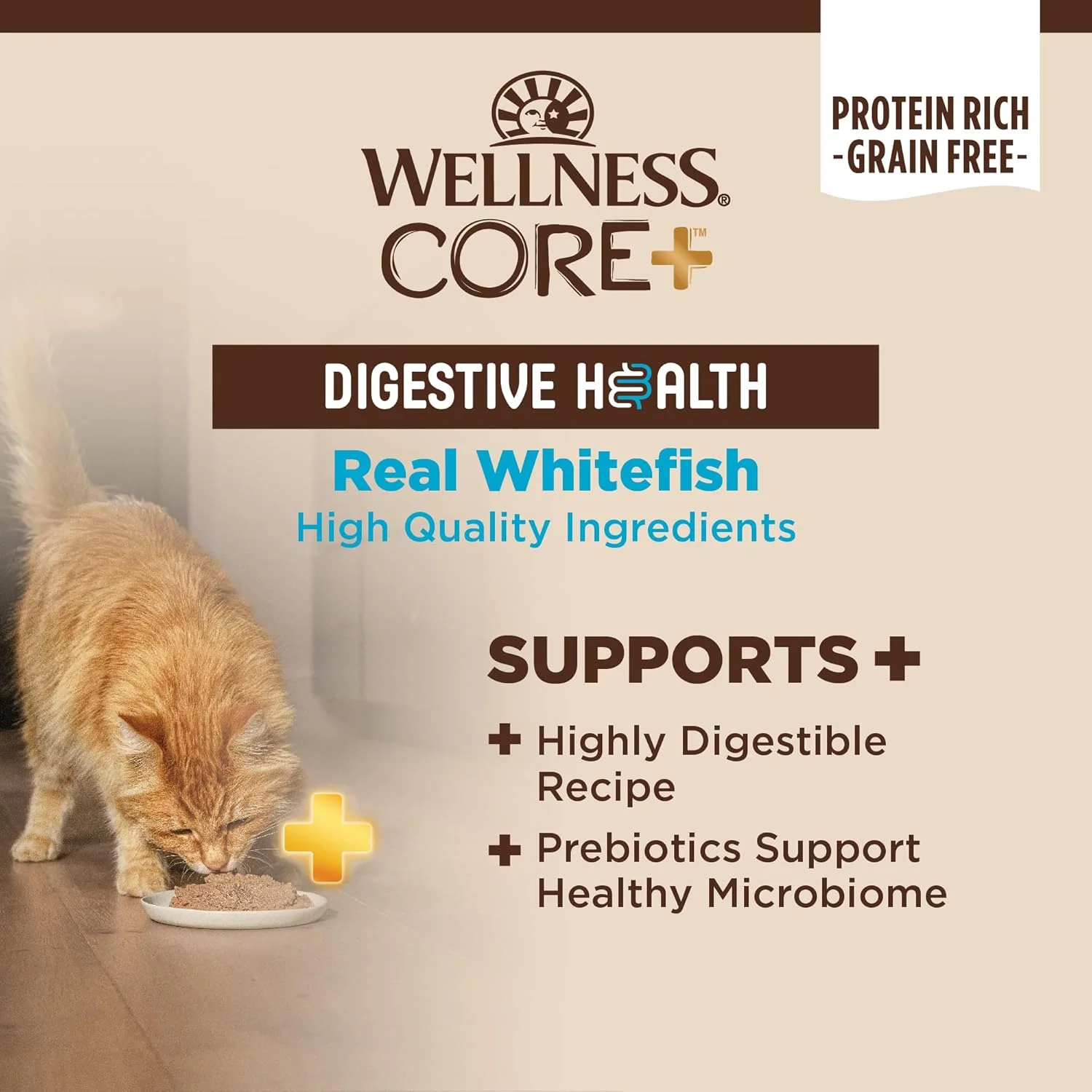 Wellness CORE+ Digestive Health Pate Adult Wet Cat Food, Natural, Protein-Rich, Grain Free (Whitefish) - Image 3