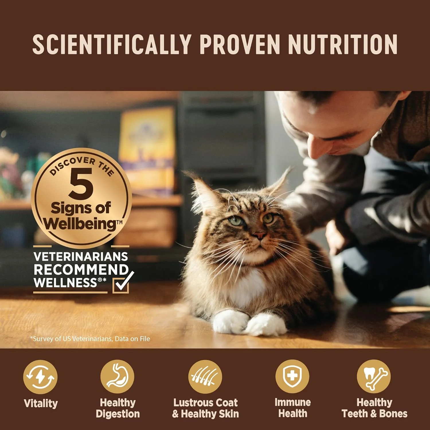 Wellness CORE+ Digestive Health Pate Adult Wet Cat Food, Natural, Protein-Rich, Grain Free (Whitefish) - Image 5