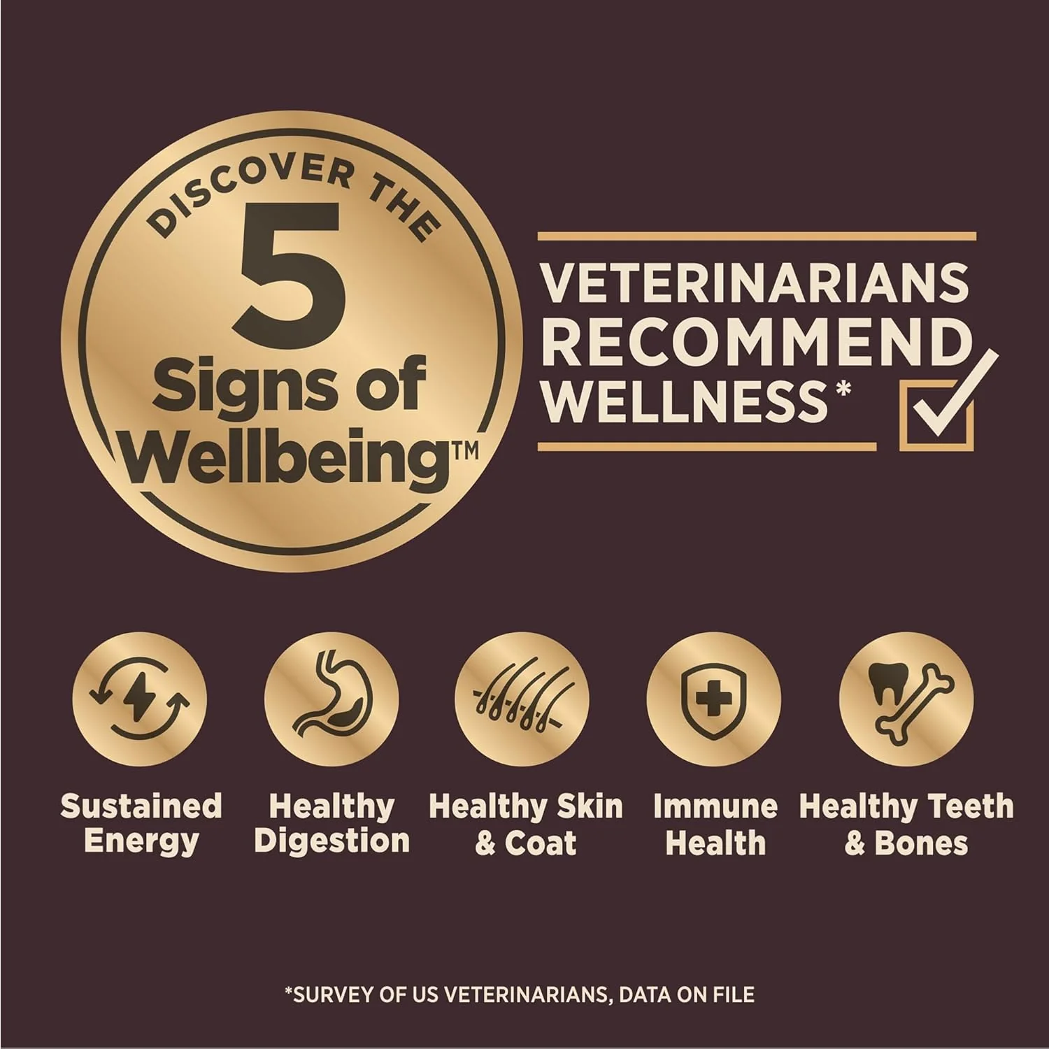 Wellness CORE Digestive Health Dry Dog Food, Small Breed, Wholesome Grains, Natural, Ingredients for Dogs with Sensitive Stomachs, Chicken Recipe - Image 3