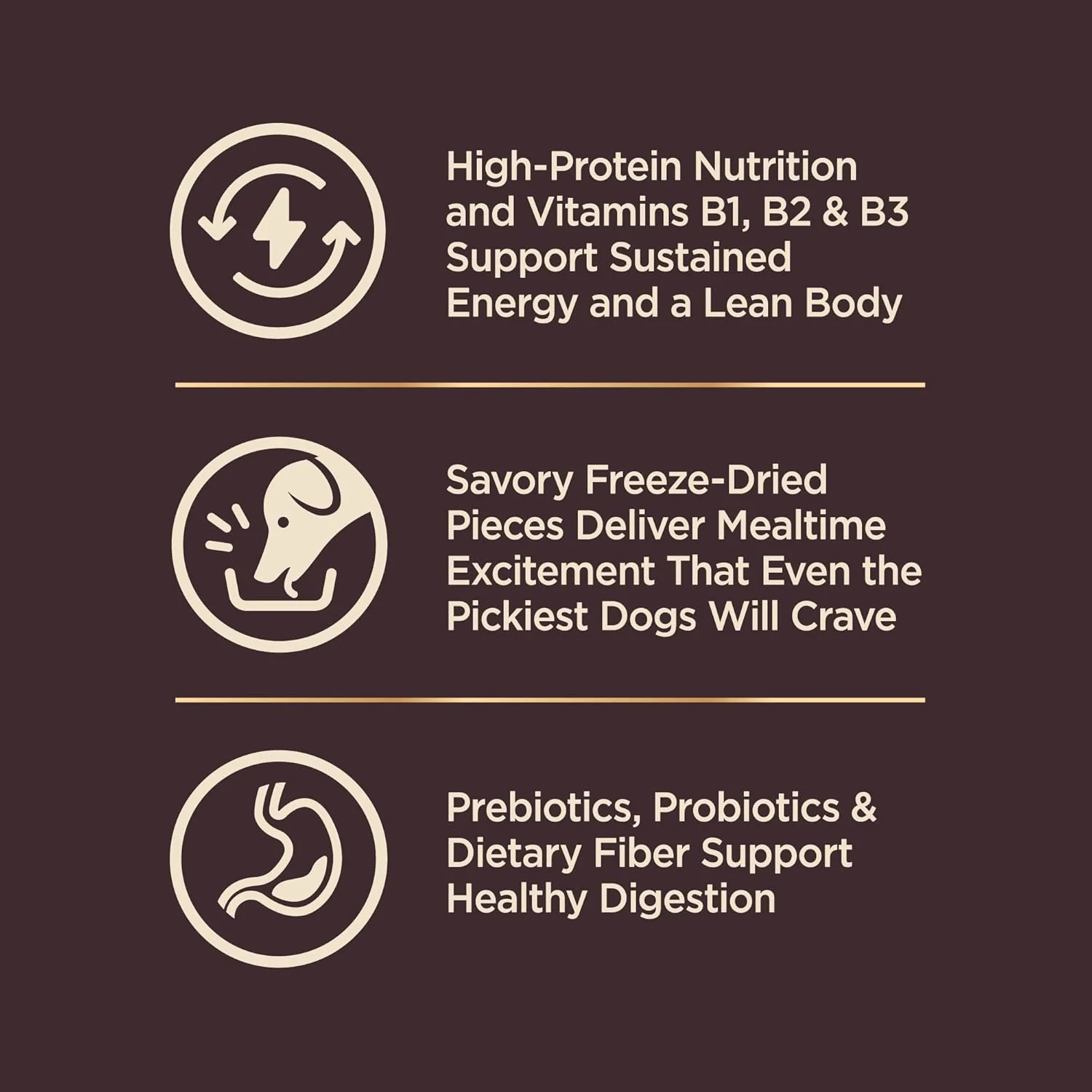 Wellness CORE+ (Formerly RawRev) Natural Grain Free Small Breed Dry Dog Food, Original Turkey & Chicken with Freeze Dried Turkey - Image 5