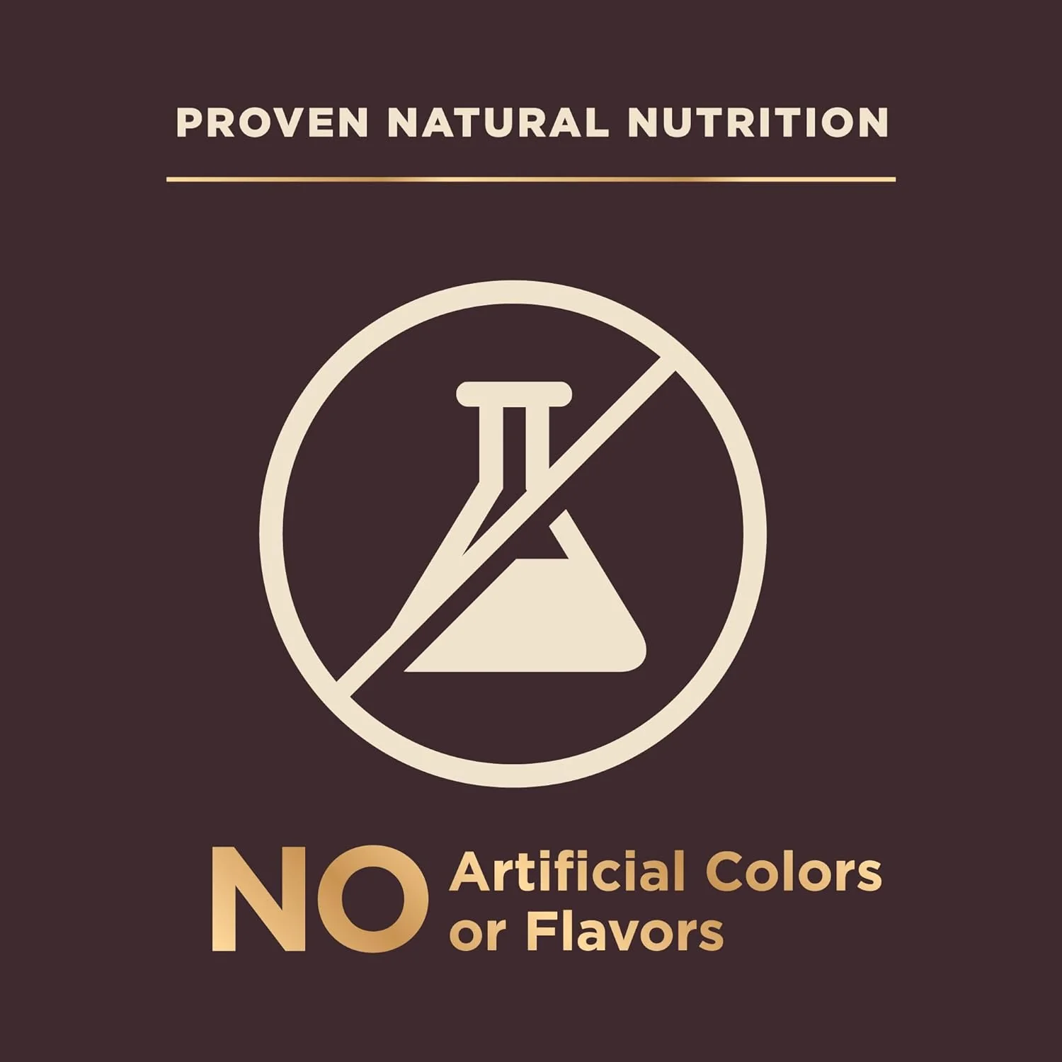 Wellness CORE+ (Formerly RawRev) Natural Grain Free Small Breed Dry Dog Food, Original Turkey & Chicken with Freeze Dried Turkey - Image 8