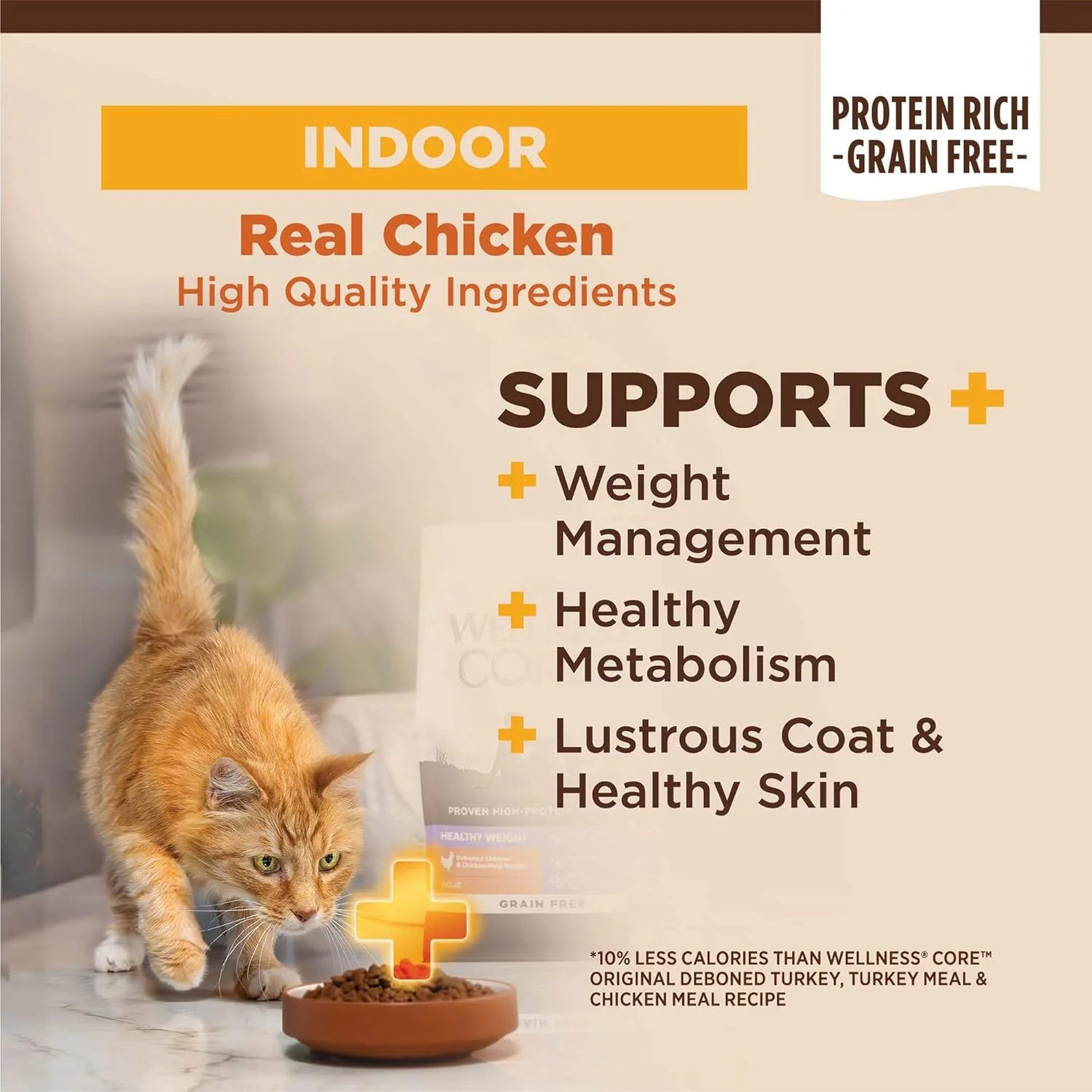 Wellness CORE+ Grain-Free High Protein Adult Dry Cat Food, Chicken, Turkey & Chicken Meal Indoor Formula Dry Cat Food - Image 2
