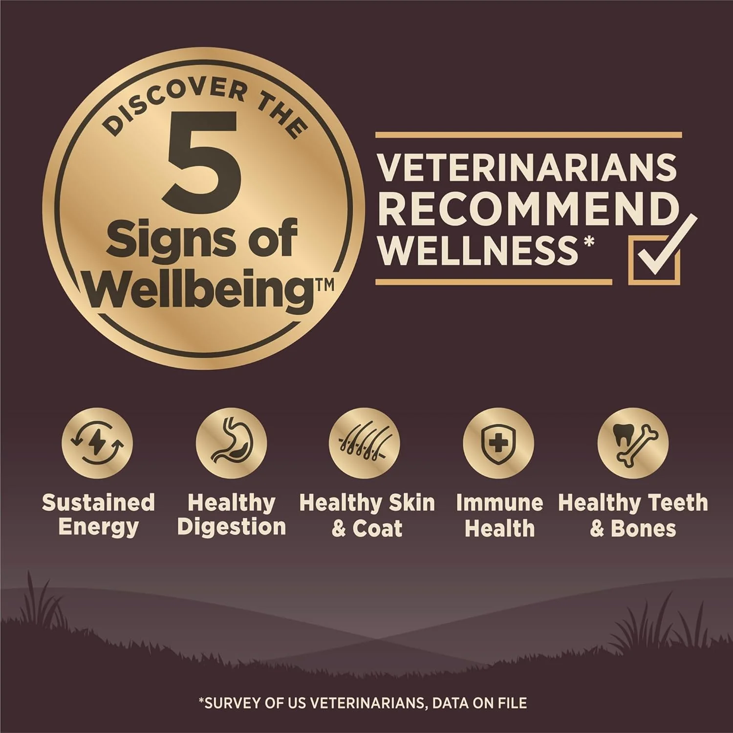 Wellness CORE Grain-Free High-Protein Dry Dog Food, Natural Ingredients, Made in USA with Real Meat, All Breeds, For Adult Dogs (Wild Game Duck, Lamb Meal, Boar & Rabbit) - Image 2