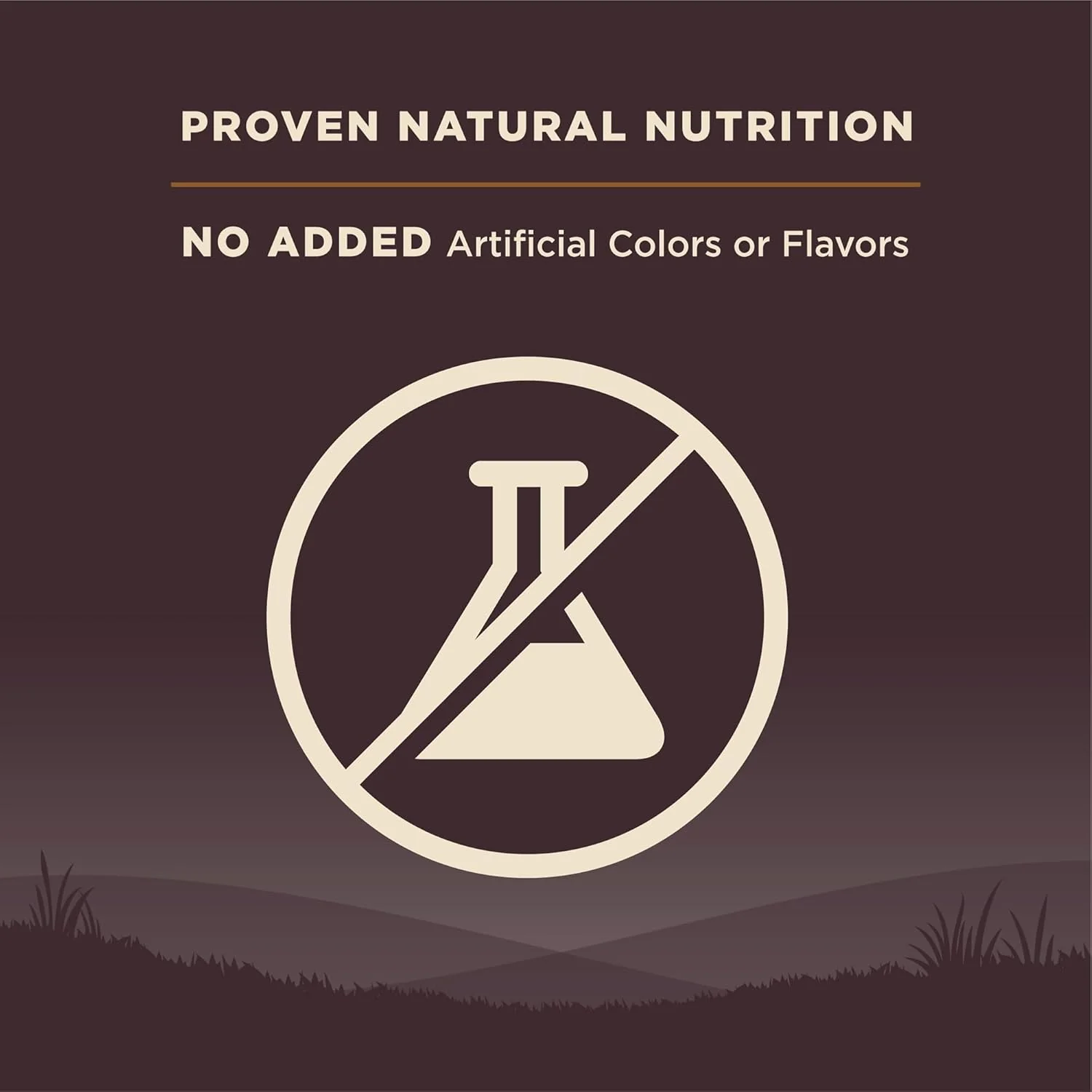 Wellness CORE Grain-Free High-Protein Dry Dog Food, Natural Ingredients, Made in USA with Real Meat, All Breeds, For Adult Dogs (Wild Game Duck, Lamb Meal, Boar & Rabbit) - Image 6