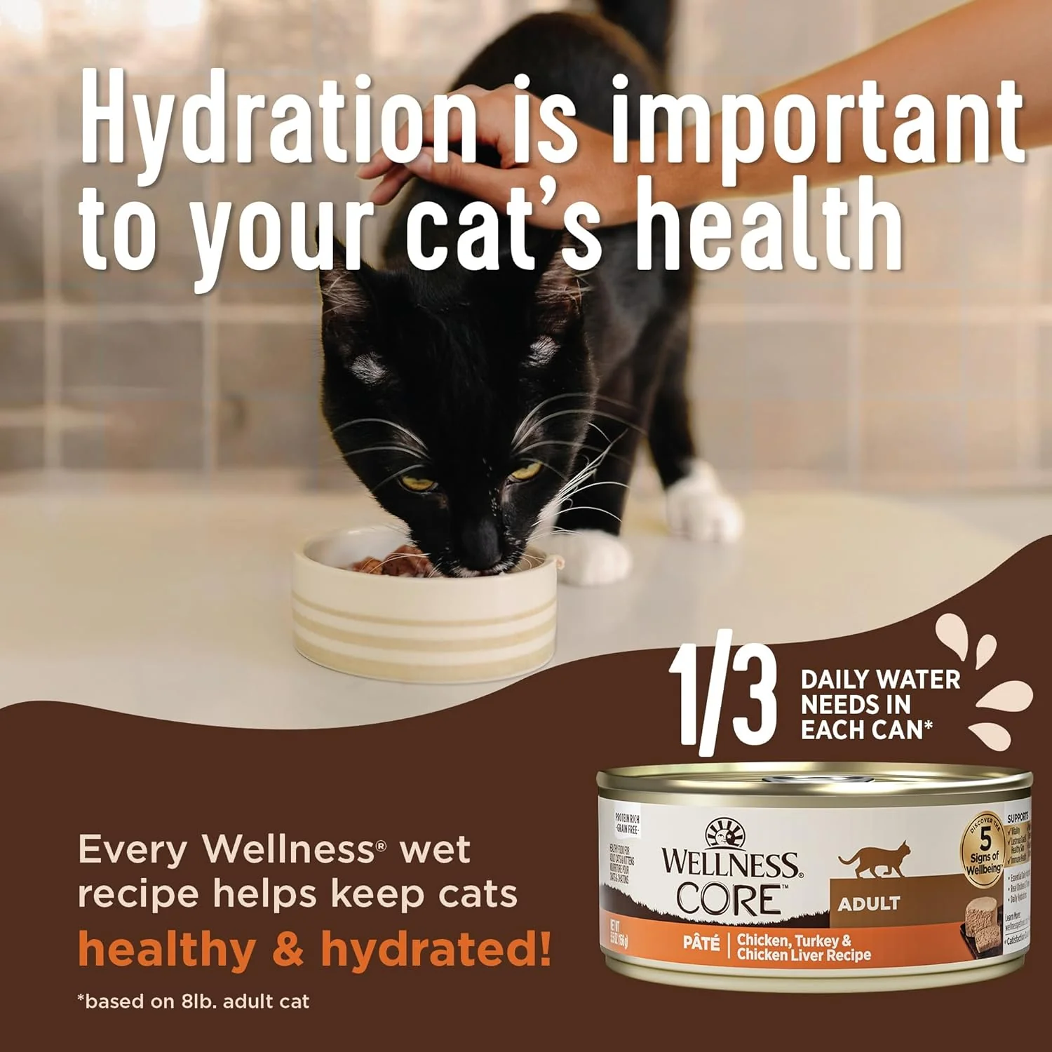 Wellness Core Grain Free Kitten Formula - Image 5
