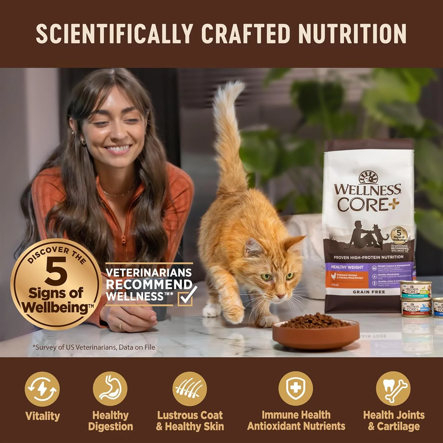 Wellness CORE+ Hairball Adult Dry Cat Food for Indoor & Outdoor Cats, Grain Free, Natural, Chicken and Chicken Meal - Image 3