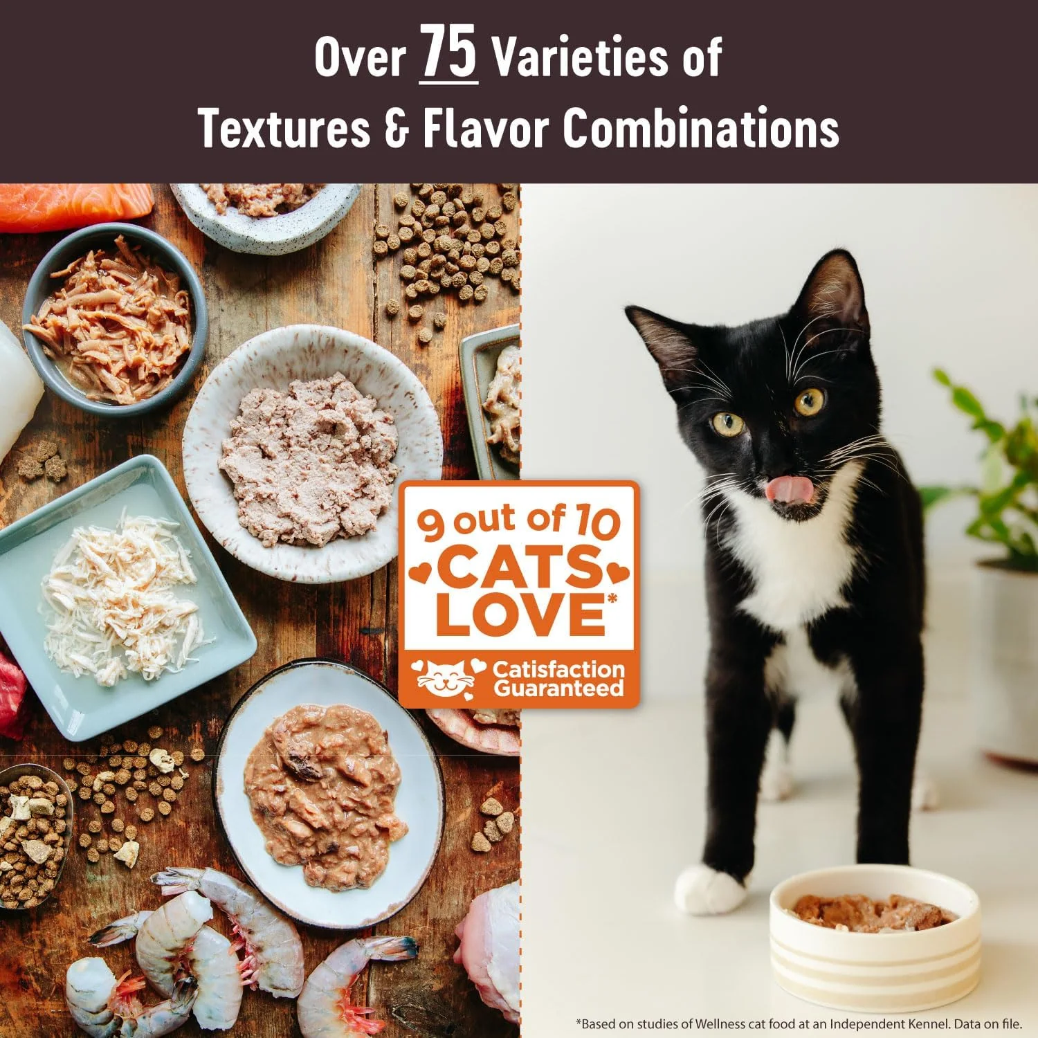 Wellness CORE+ Hairball Adult Dry Cat Food for Indoor & Outdoor Cats, Grain Free, Natural, Chicken and Chicken Meal - Image 5