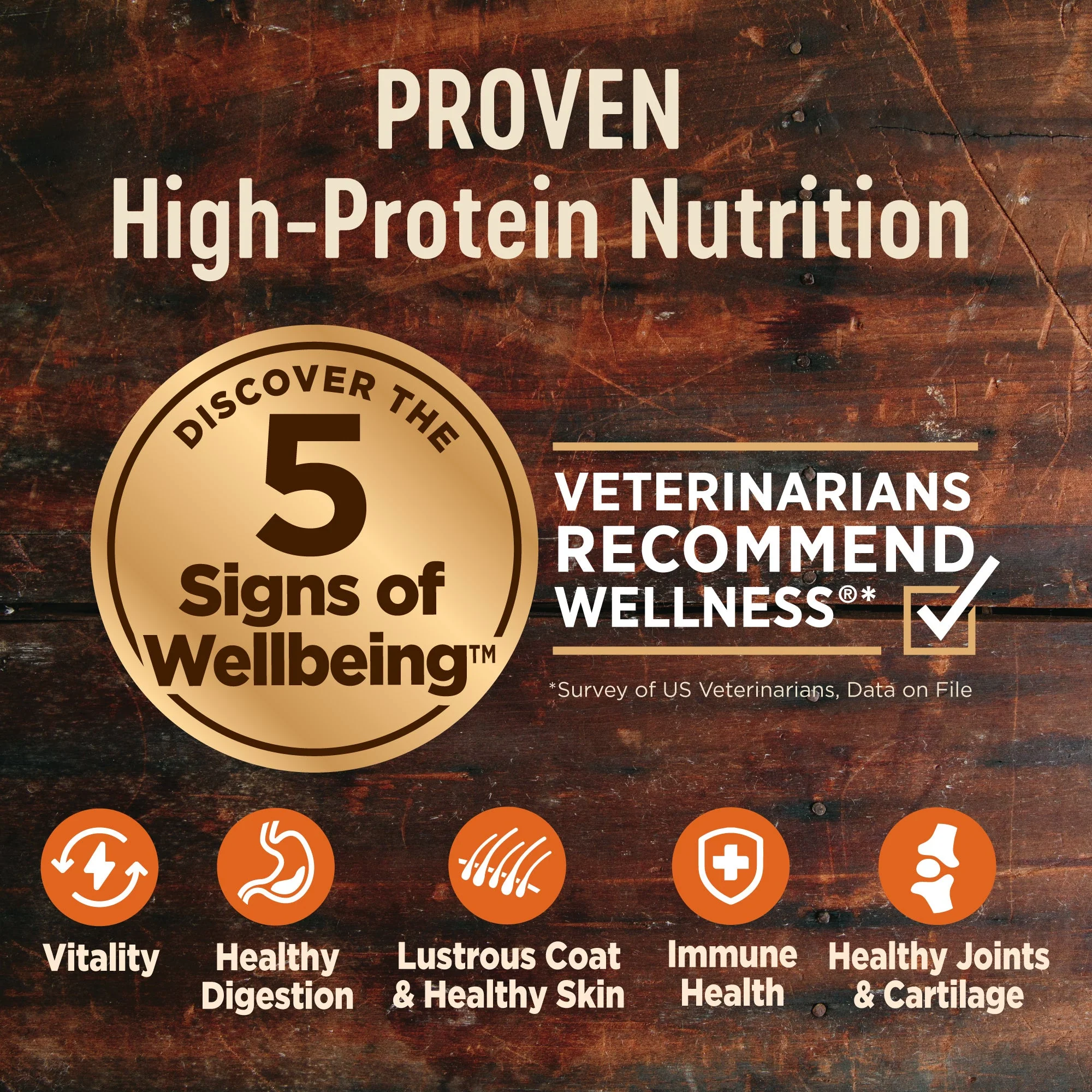 Wellness Core Ocean Dry Dog - Image 4