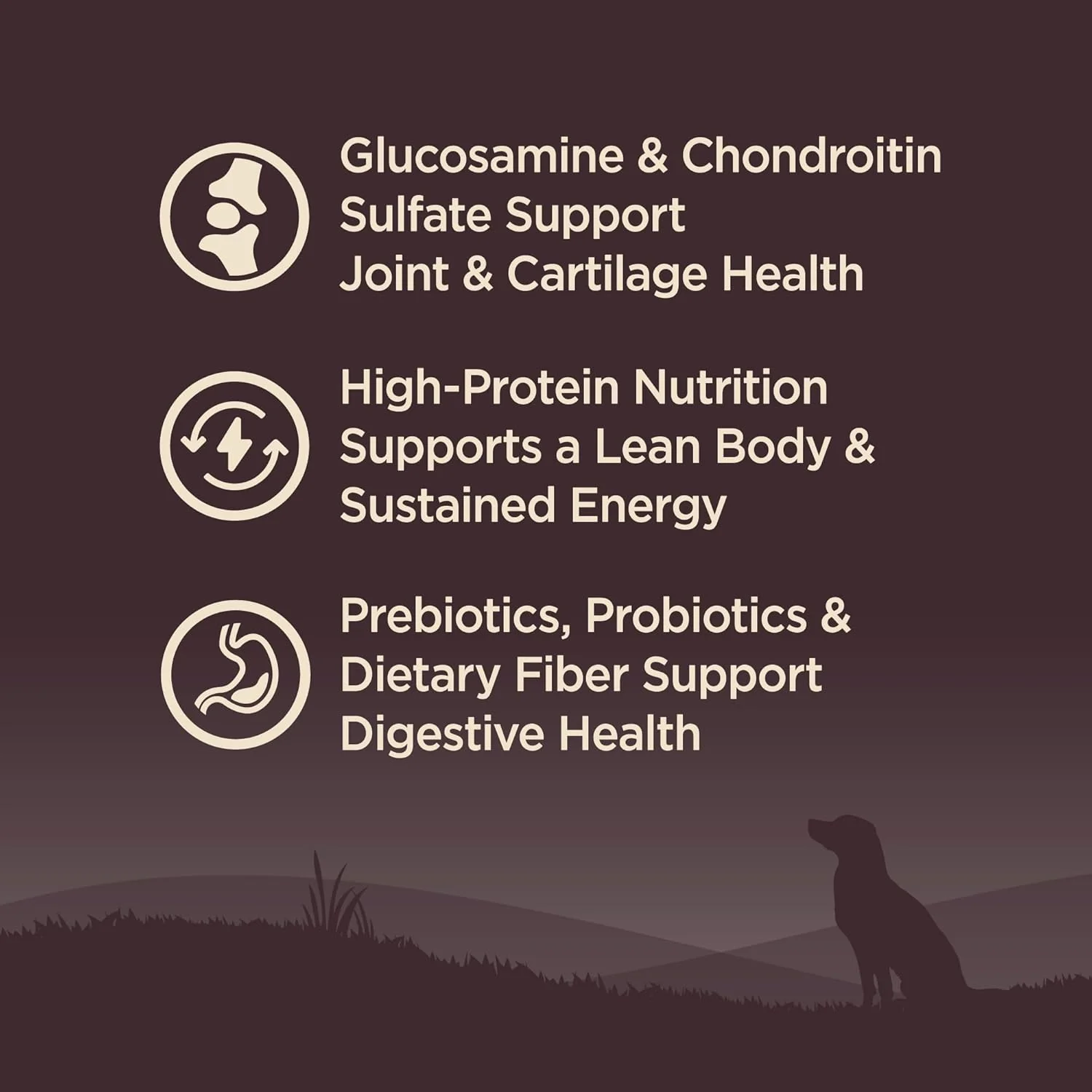 Wellness CORE Grain-Free Senior Dry Dog Food, Made in USA with Natural Ingredients, No Meat by-Product, Fillers, Artificial Flavors, or Preservatives (Turkey) - Image 6