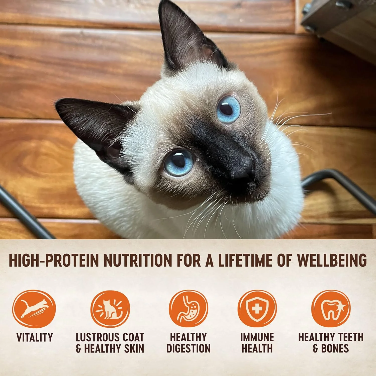 Wellness CORE Signature Selects Flaked Adult Wet Cat Food, Natural, Protein-Rich, Grain Free (Skipjack Tuna & Shrimp) - Image 2