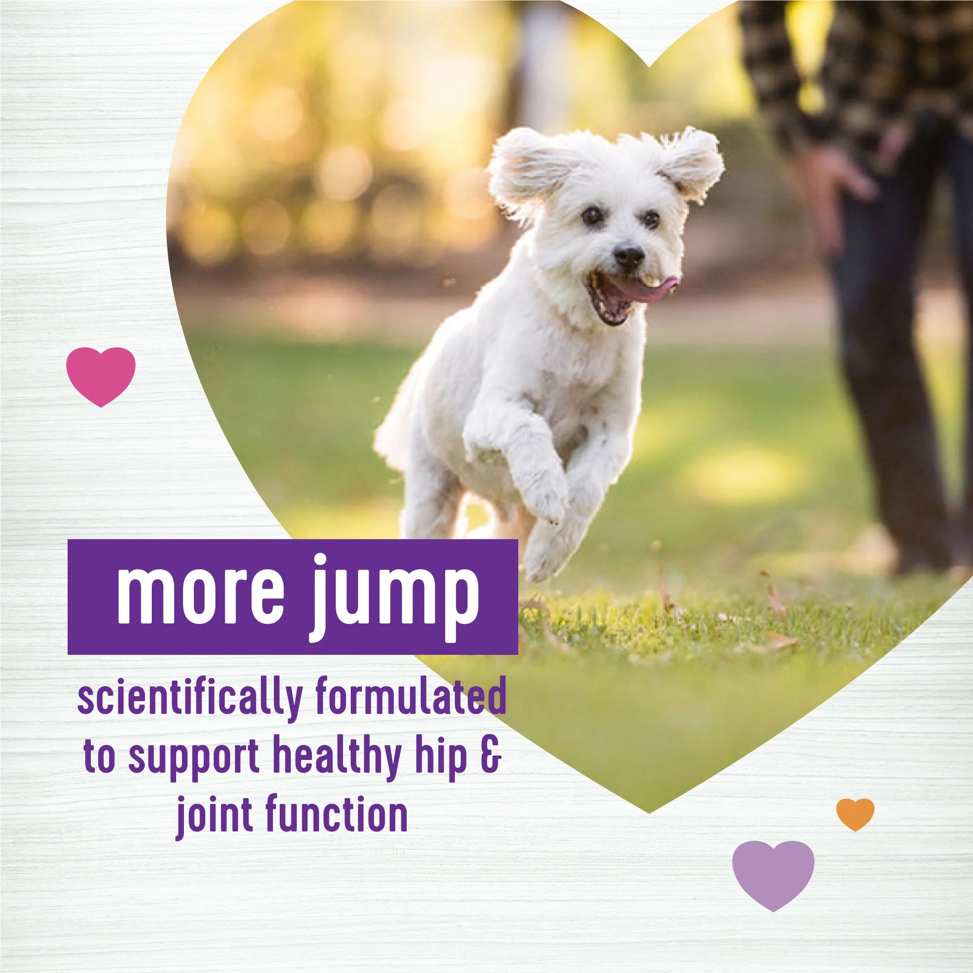 Wellness Grilled Chicken Flavored Soft Chews Hip & Joint Health Supplements for Dogs - Image 2