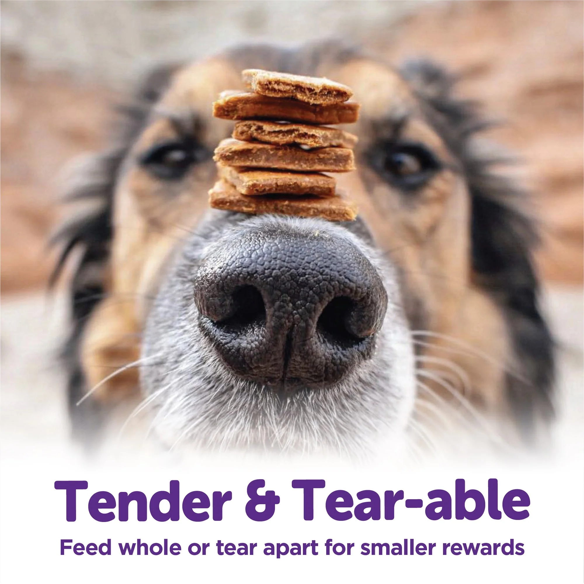 Wellness Rewarding Life Dog Treats, Natural, Training Treat, Grain Free, Soft Chicken & Lamb - Image 2