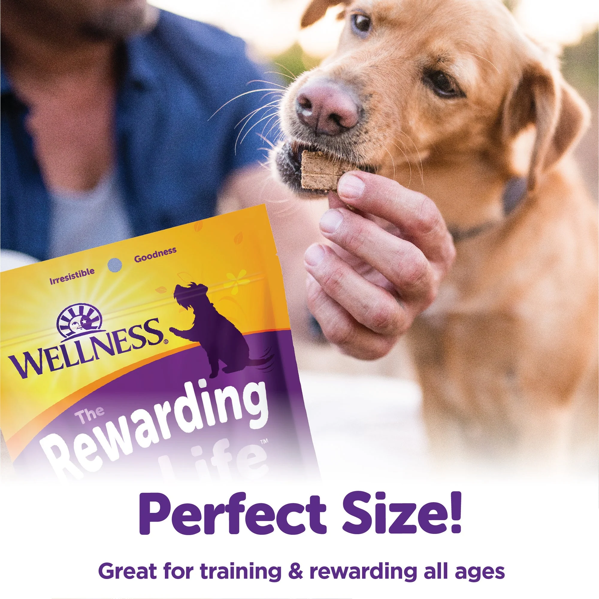 Wellness Rewarding Life Dog Treats, Natural, Training Treat, Grain Free, Soft Chicken & Venison - Image 5