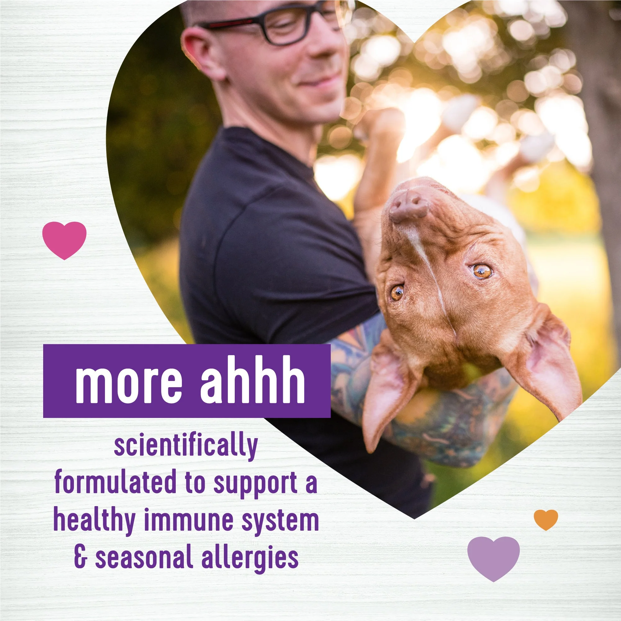 Wellness Salmon Flavored Soft Chew Immune & Allergy Supplements for Dogs - Image 3