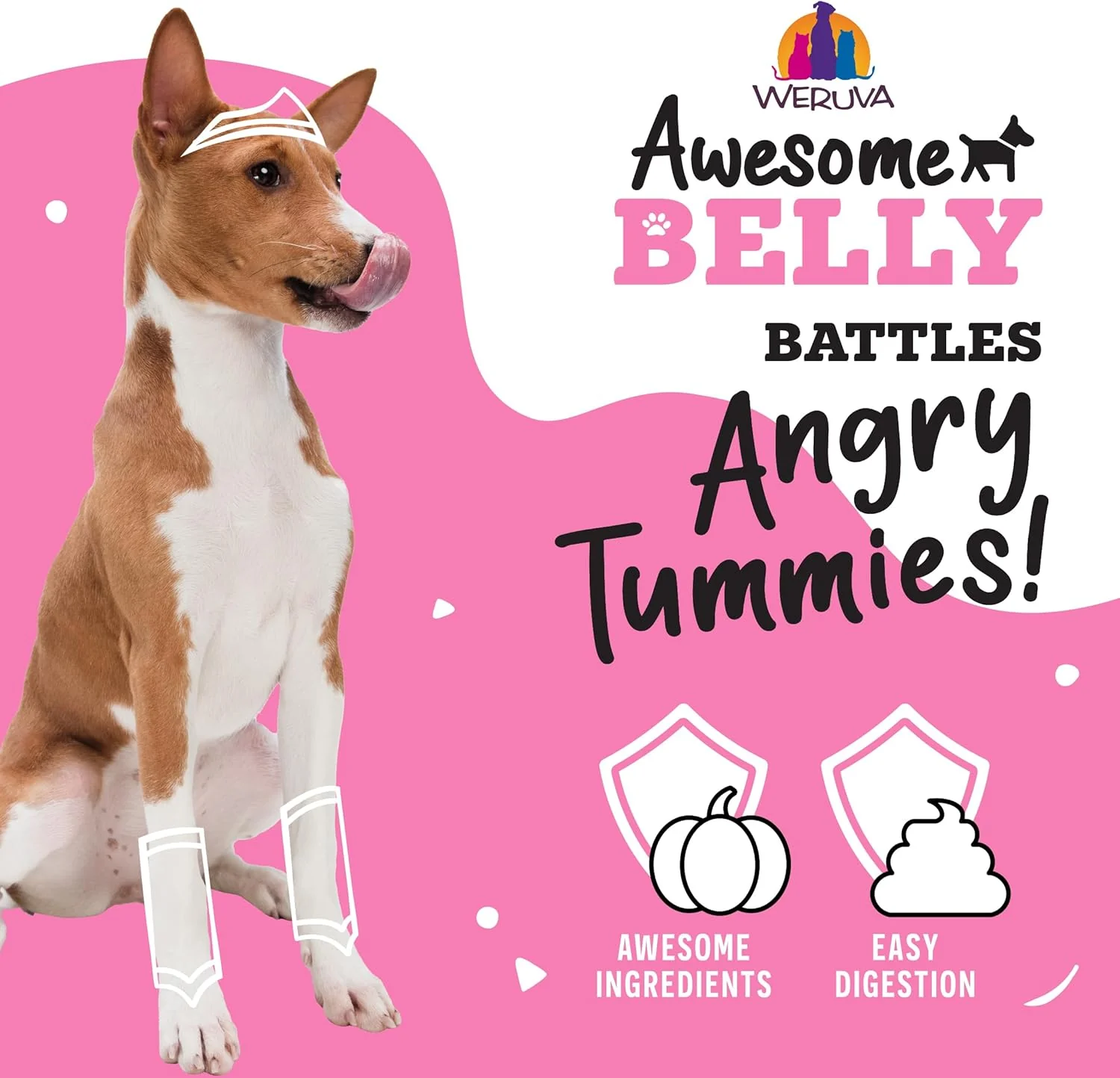 Weruva Awesome Belly, Chicken, White Rice, & Pumpkin (Pack of 8) - Image 7