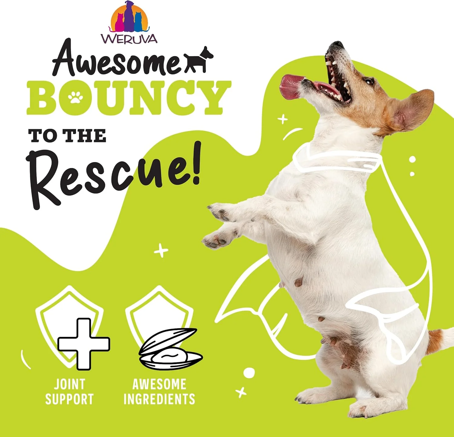 Weruva Awesome Bouncy Wet Dog Food, Beef & Brown Rice - Image 7