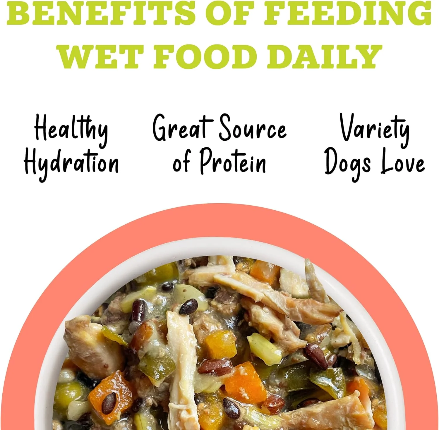Weruva Awesome Bouncy Wet Dog Food, Chicken & Brown Rice with Veggies - Image 5