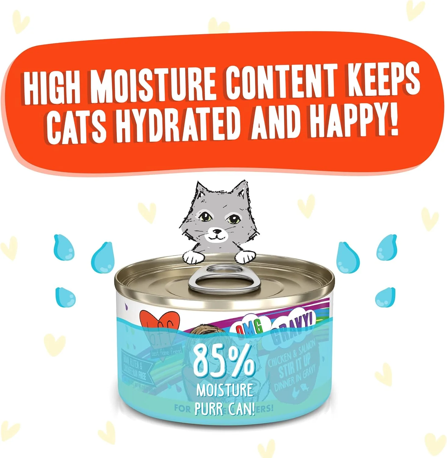 Weruva B.F.F. OMG - Best Feline Friend Oh My Gravy!, Chicken & Salmon Stir It Up with Chicken & Salmon in Gravy - Image 4